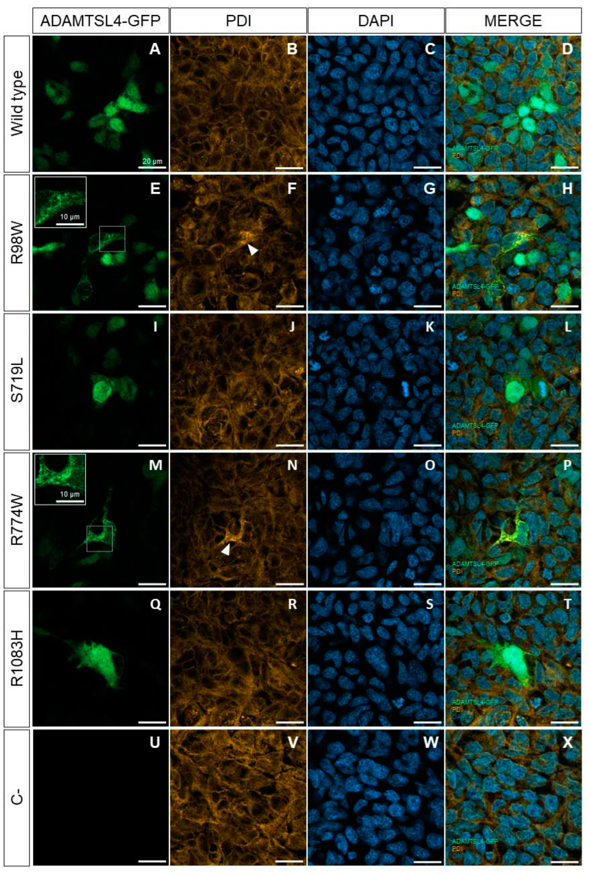 Preprints 98851 g004