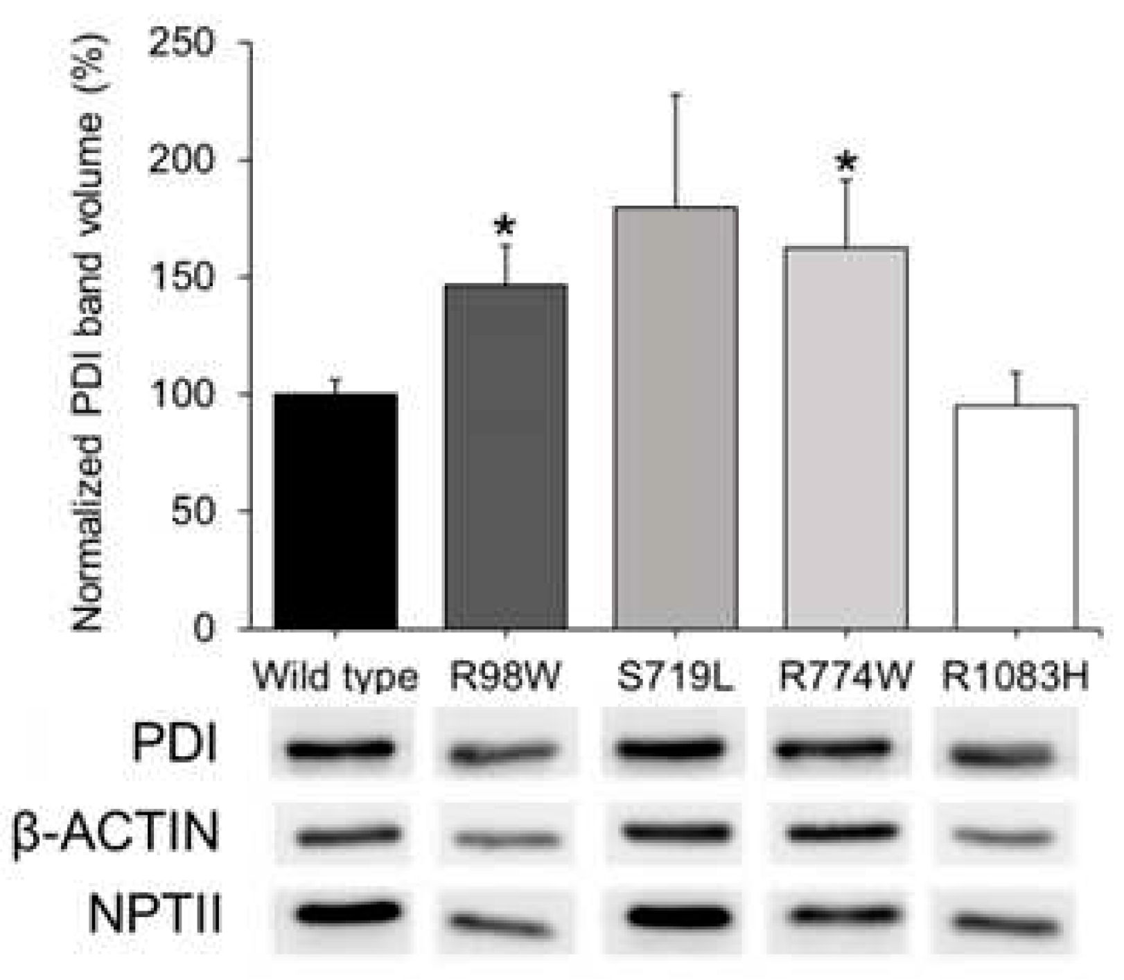 Preprints 98851 g005