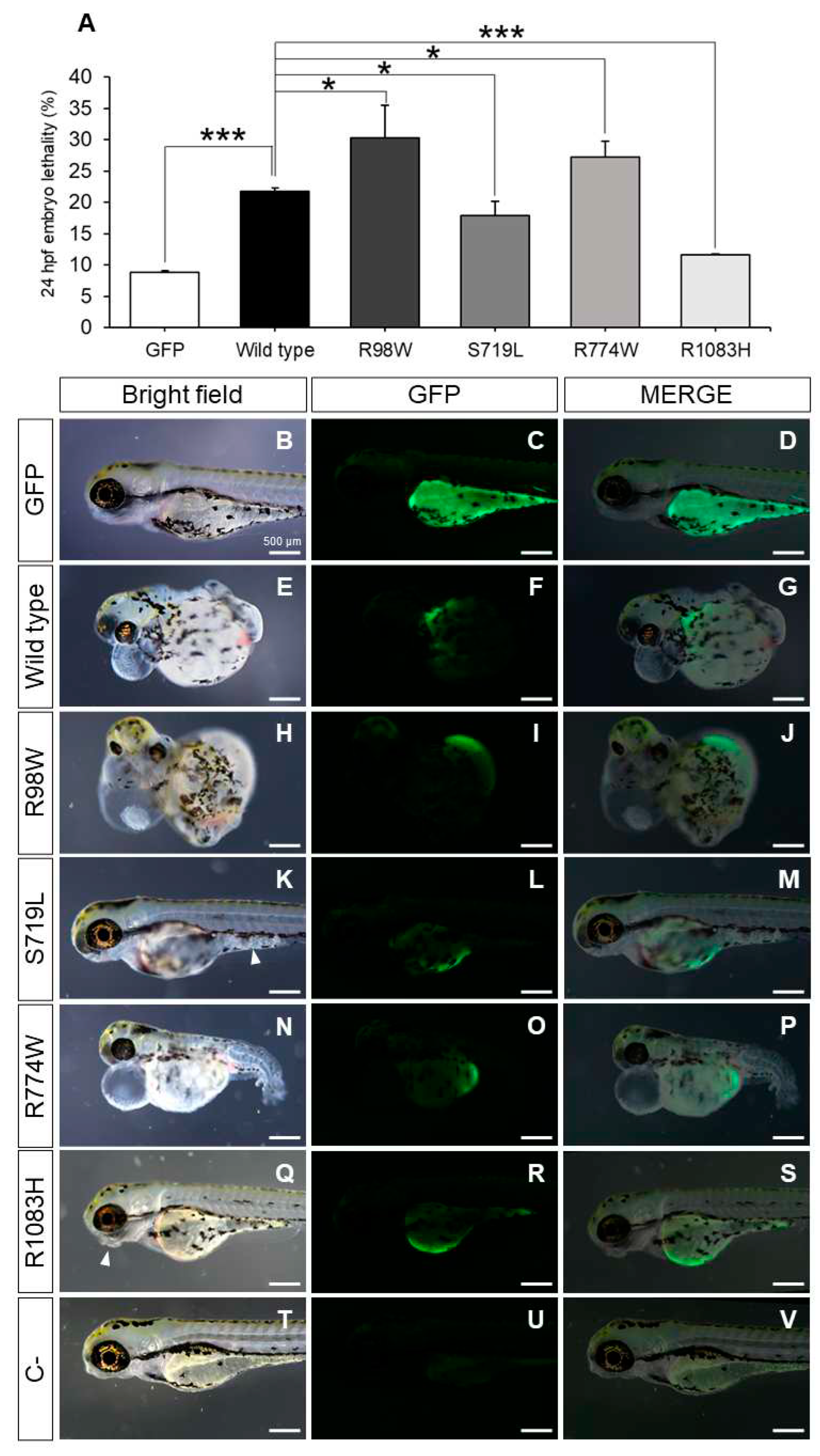 Preprints 98851 g006