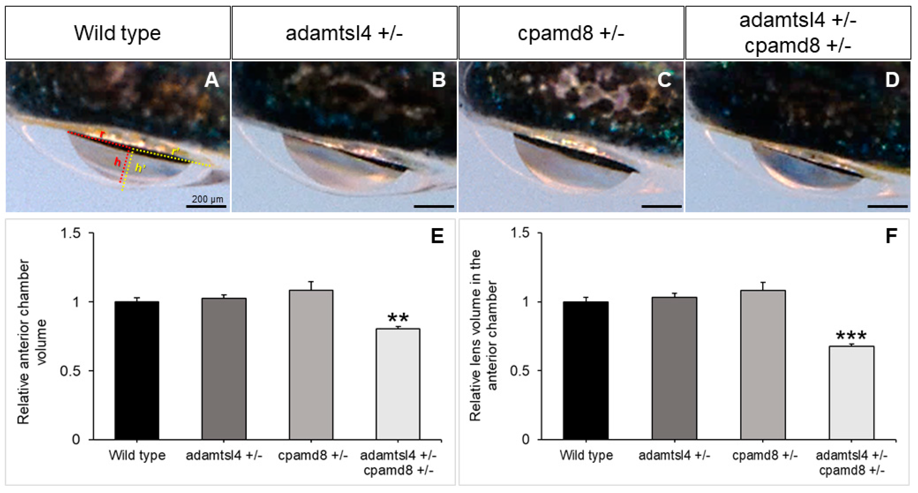 Preprints 98851 g007