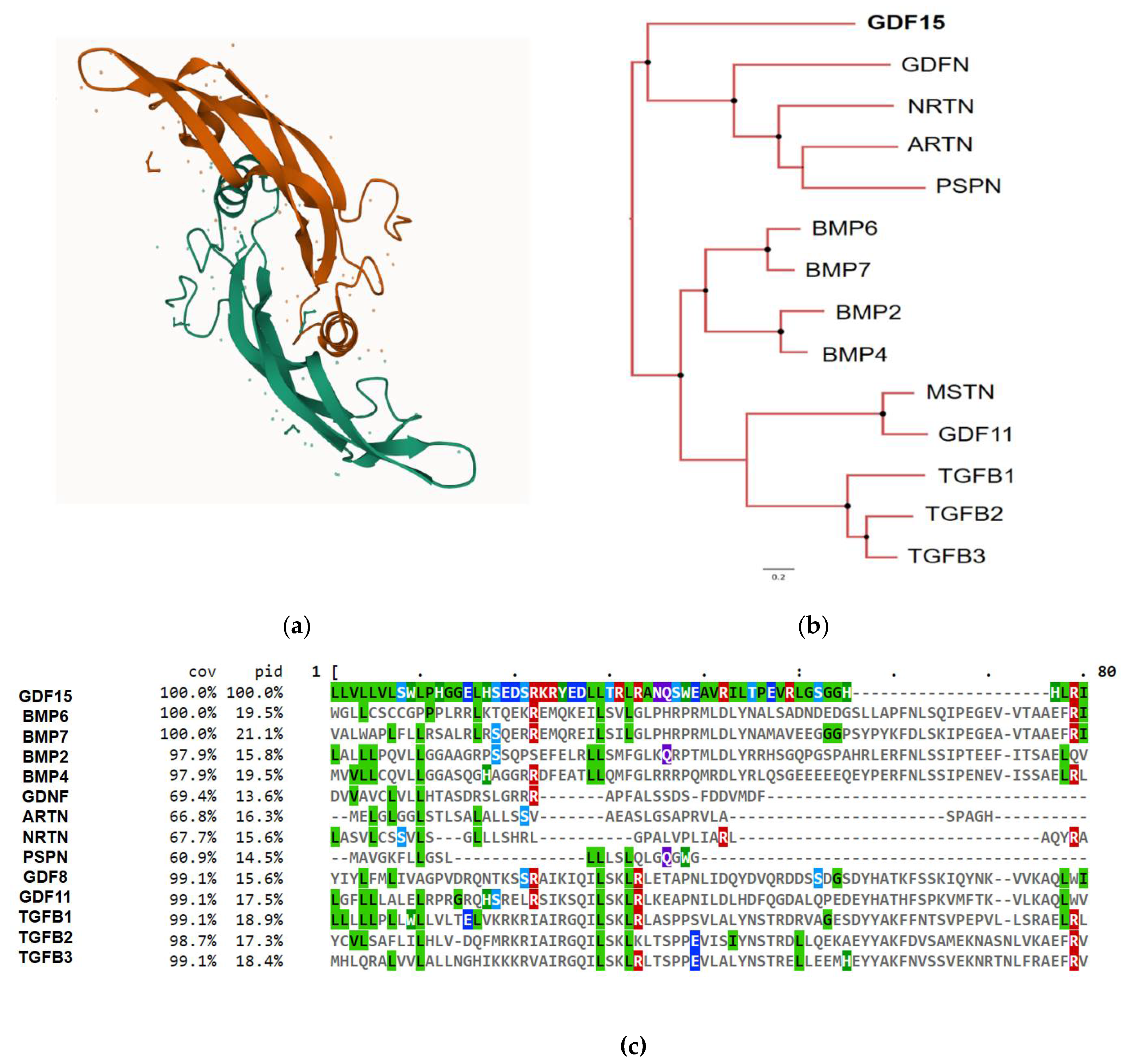 Preprints 107576 g001