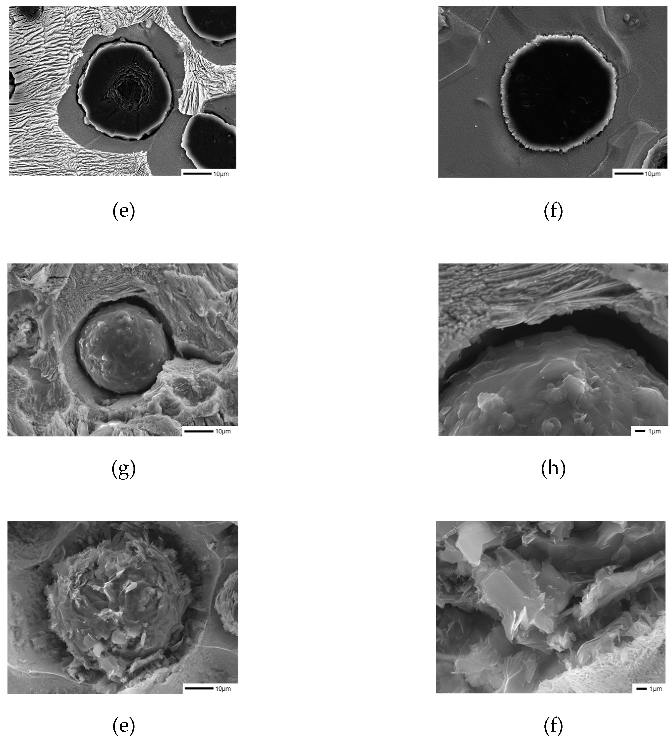 Preprints 73025 g004