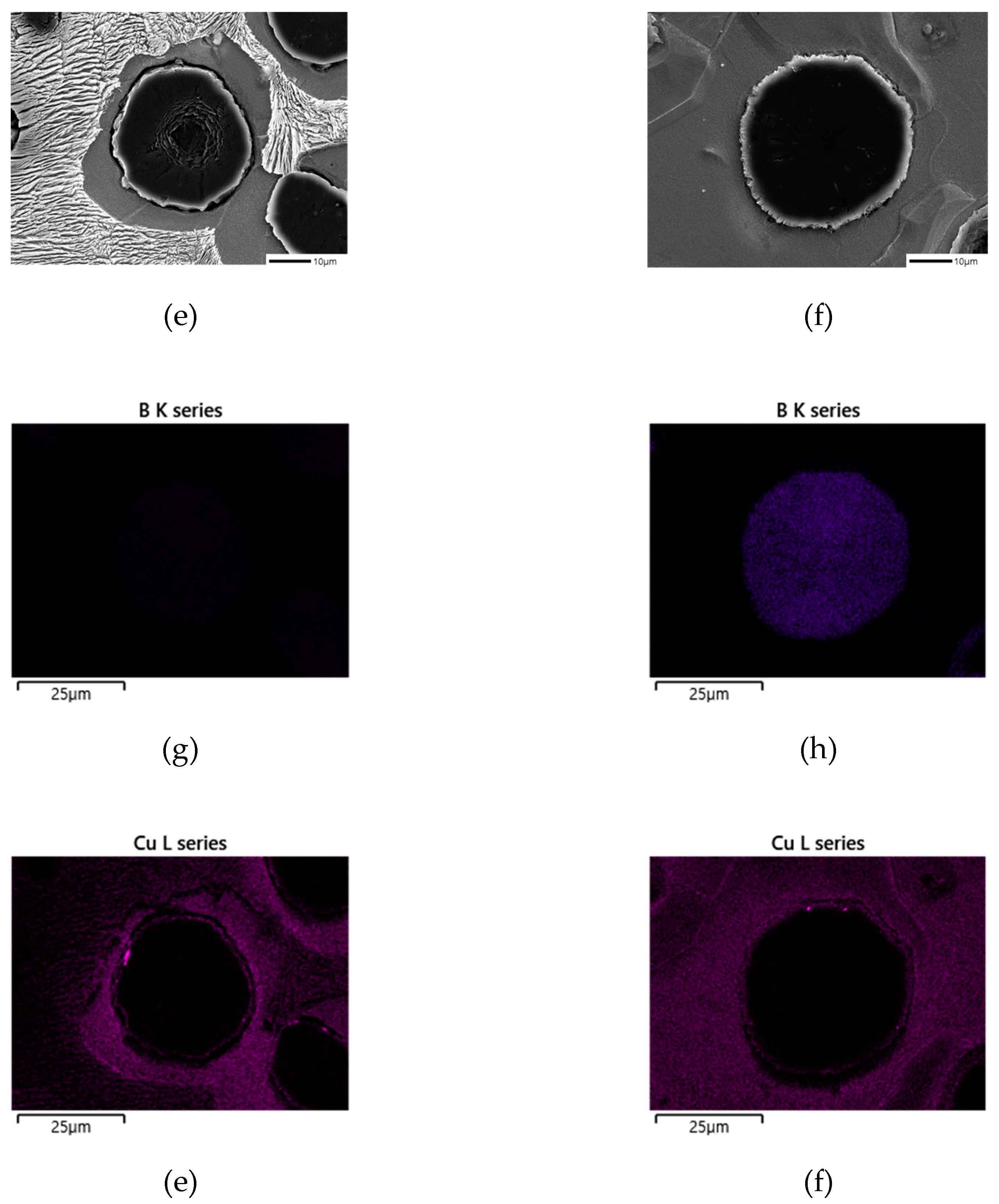 Preprints 73025 g005