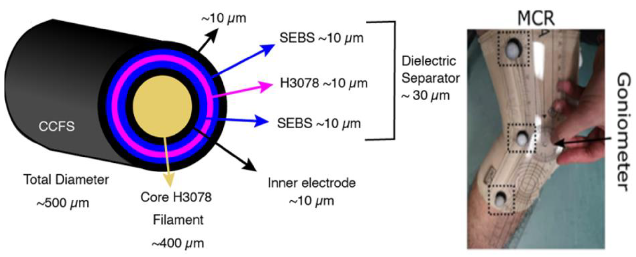 Preprints 103124 g008