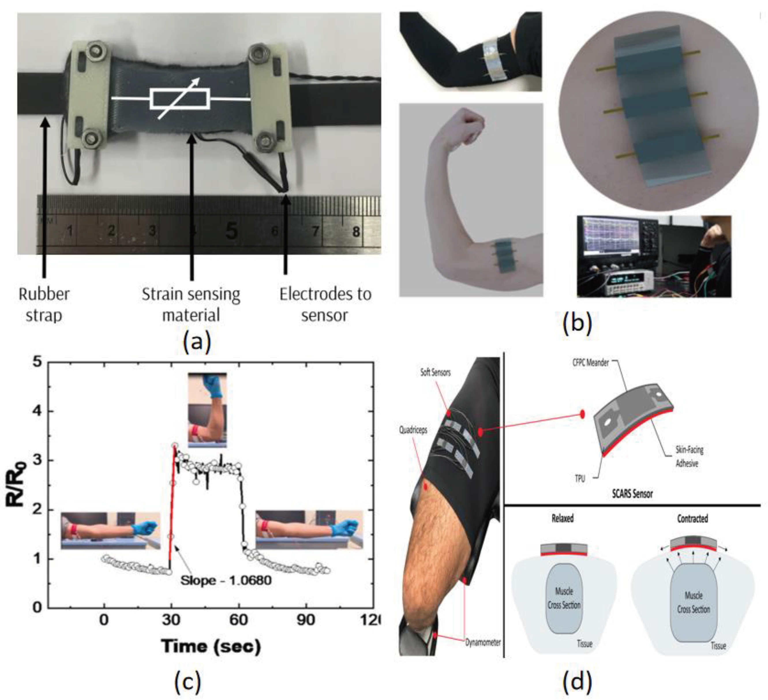 Preprints 103124 g010