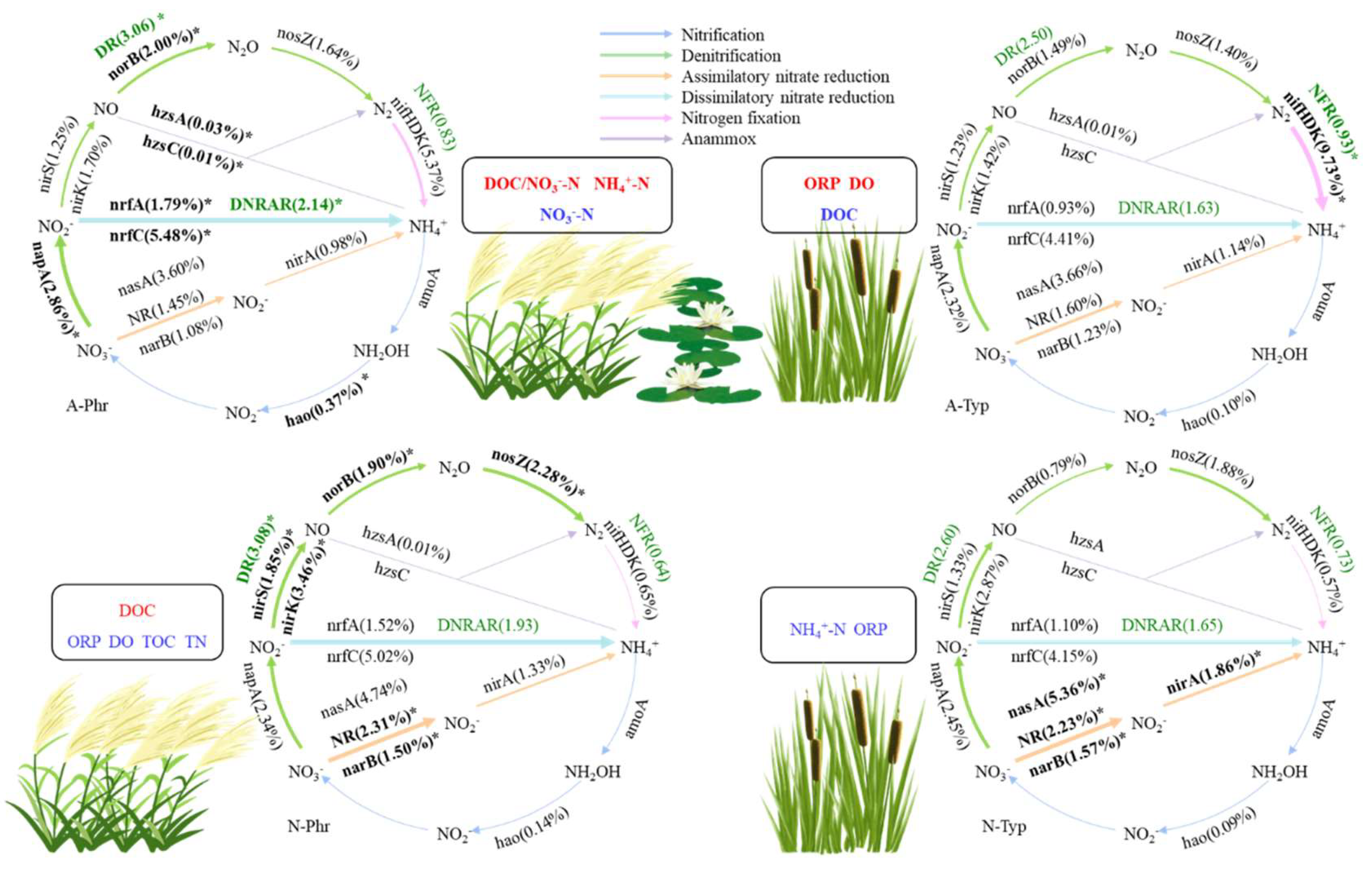 Preprints 114685 g007