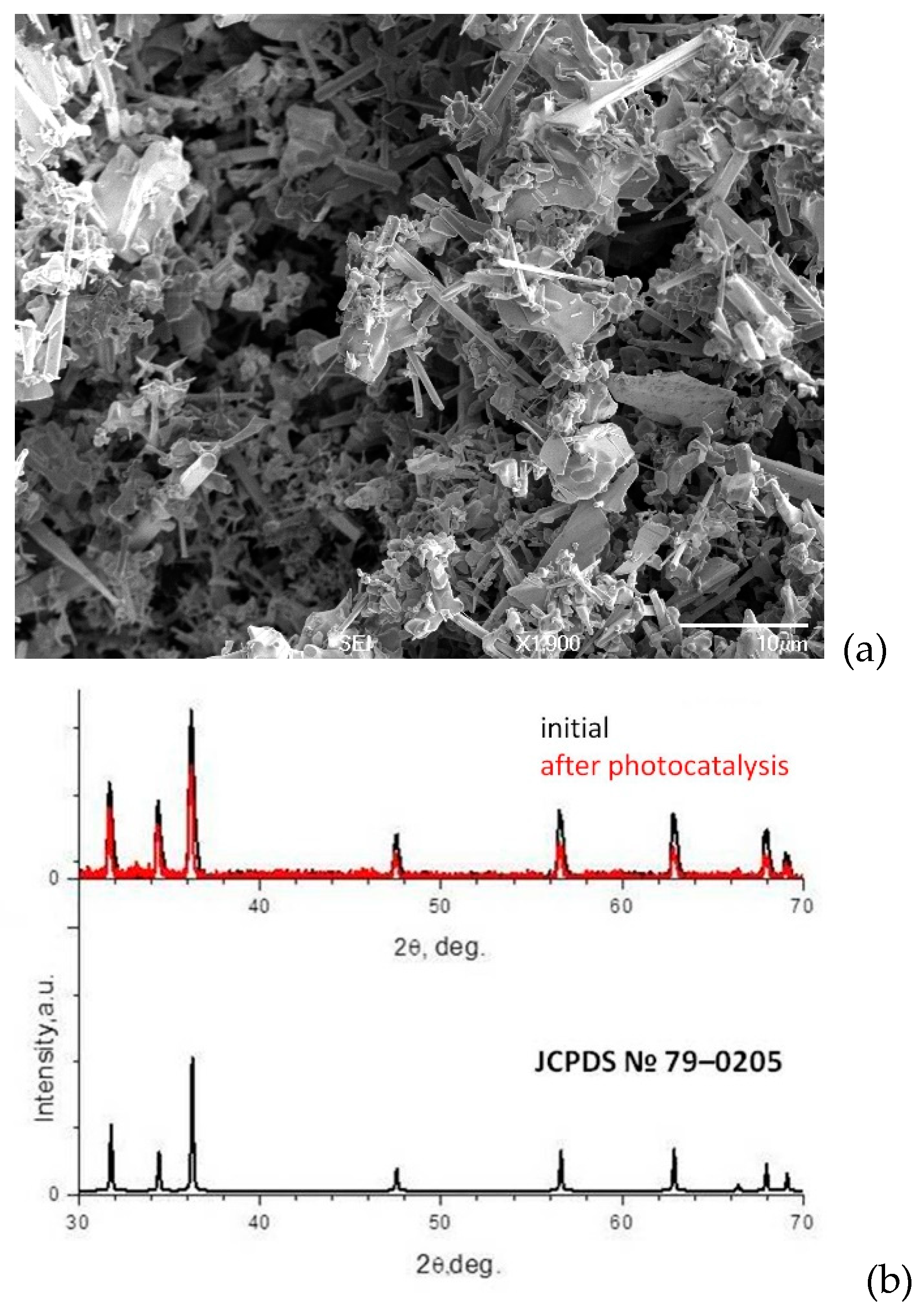 Preprints 87455 g002