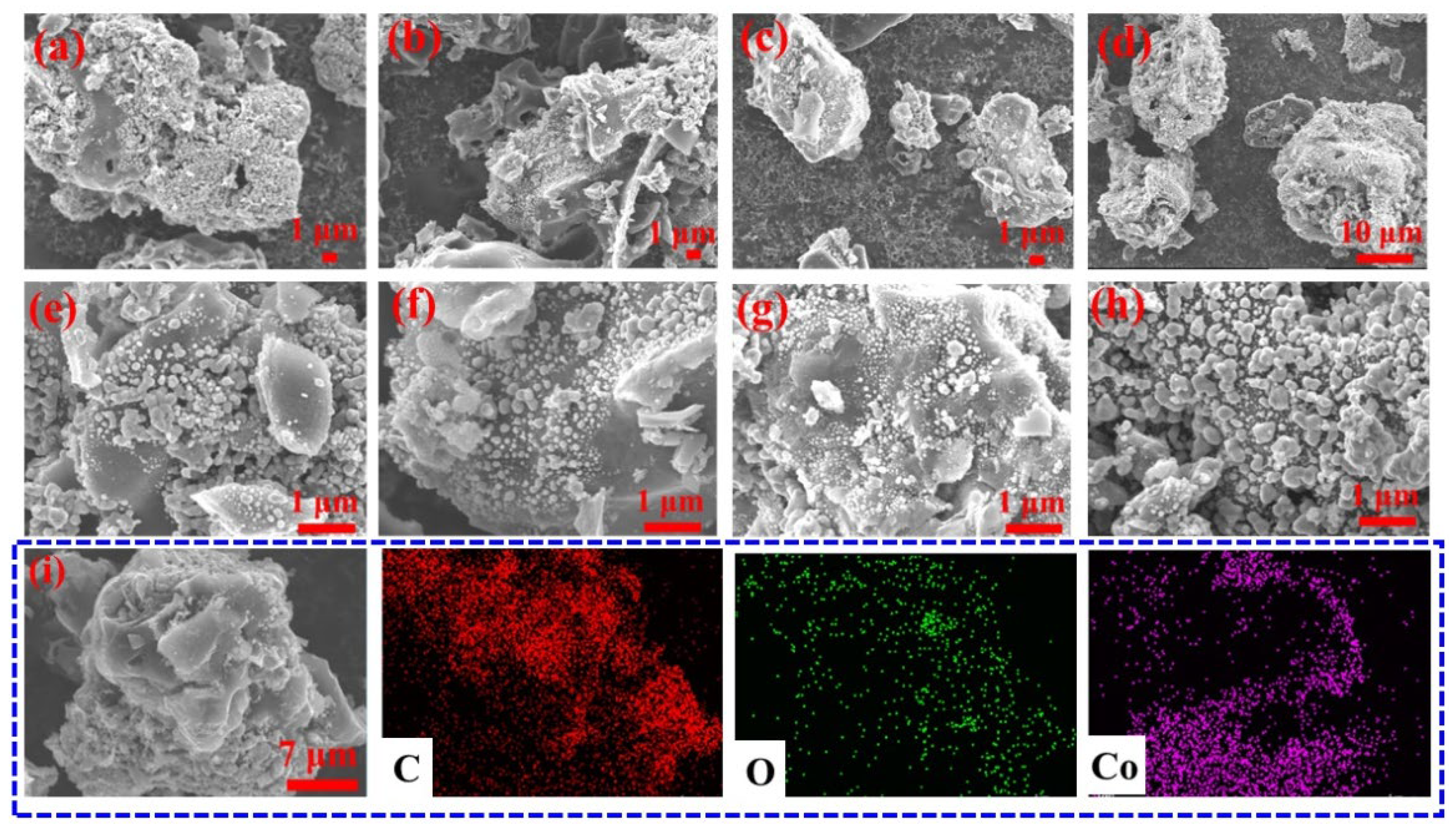 Preprints 117489 g004