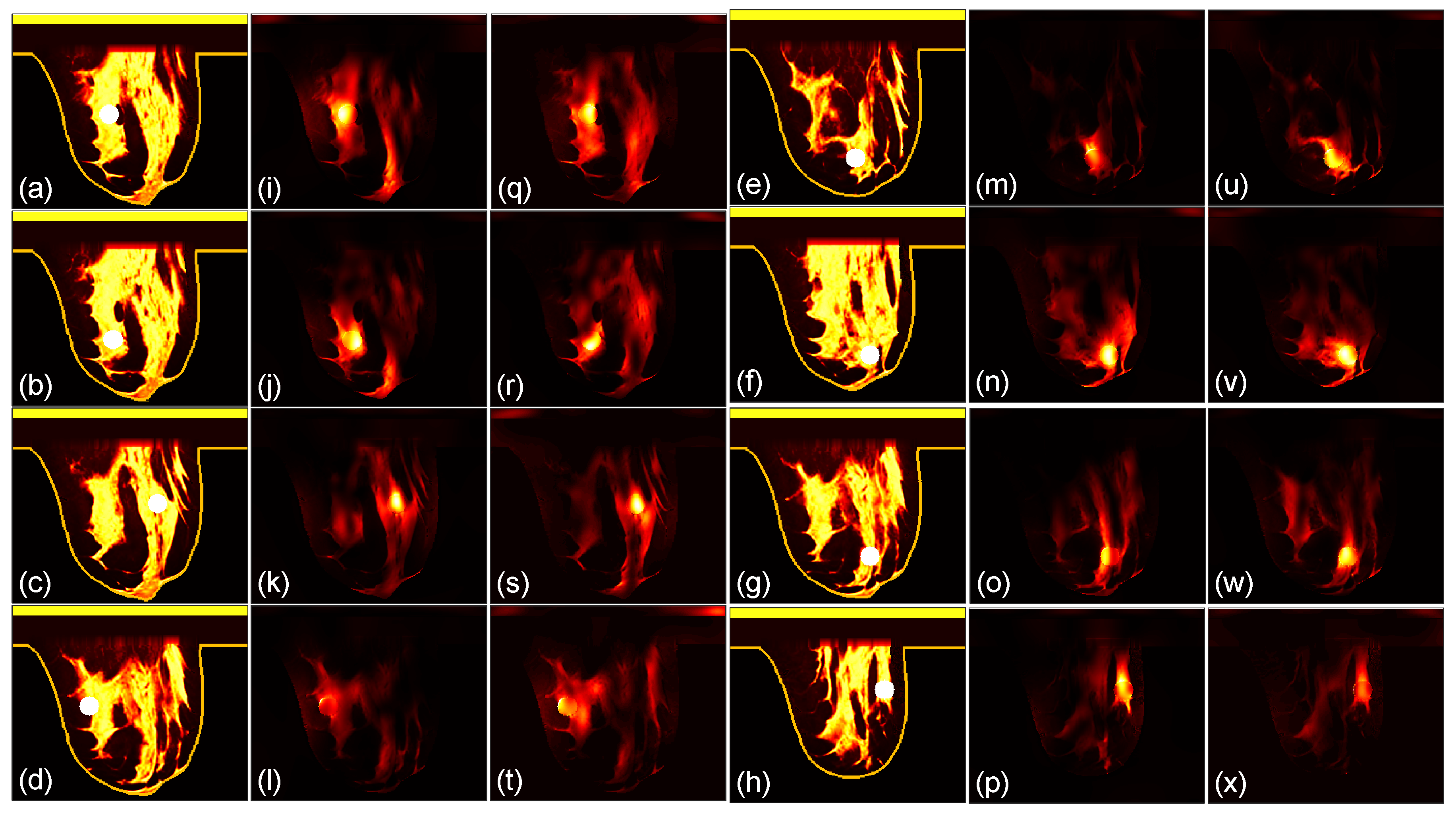 Preprints 100231 g006