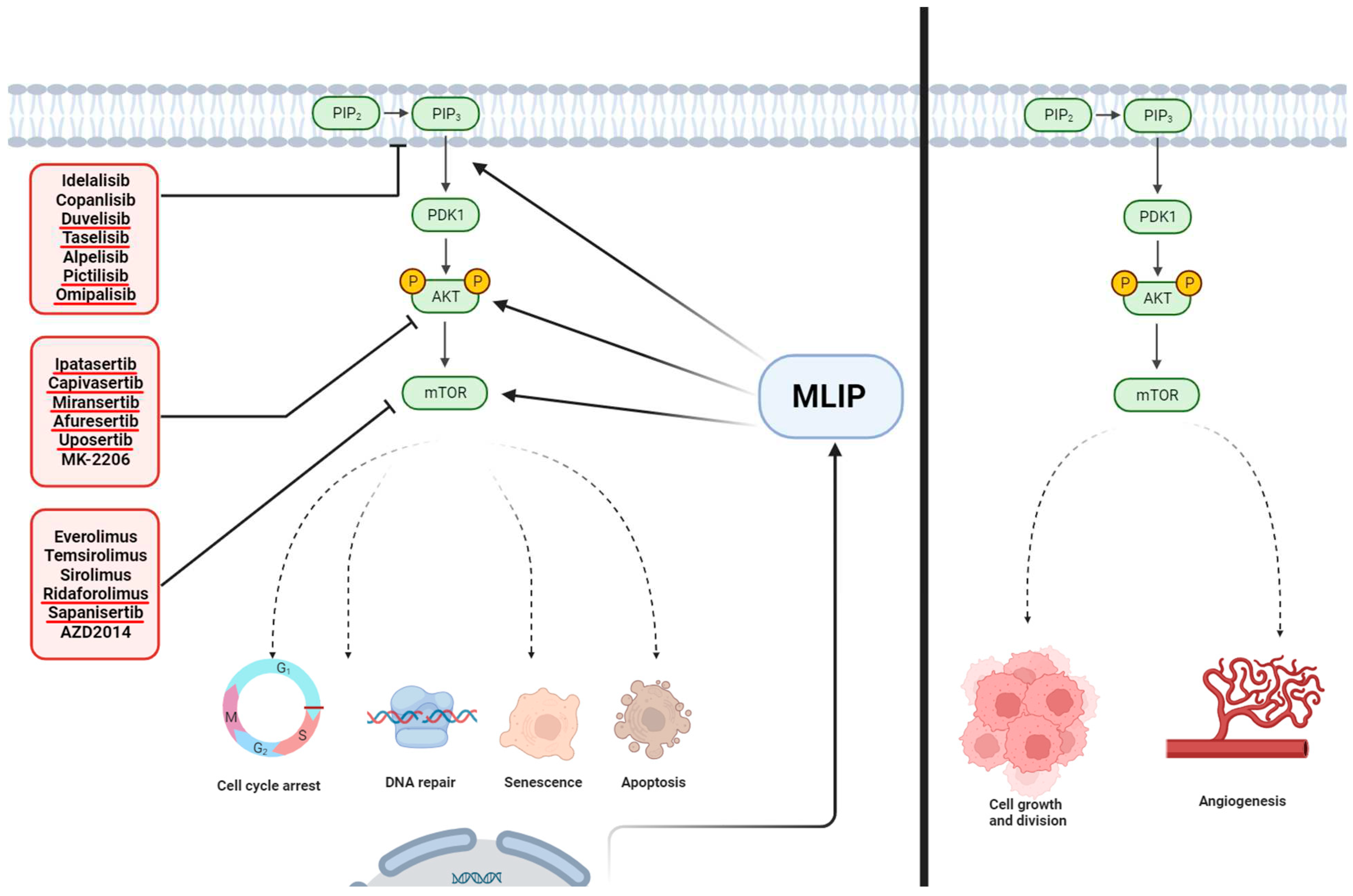 Preprints 97432 g002