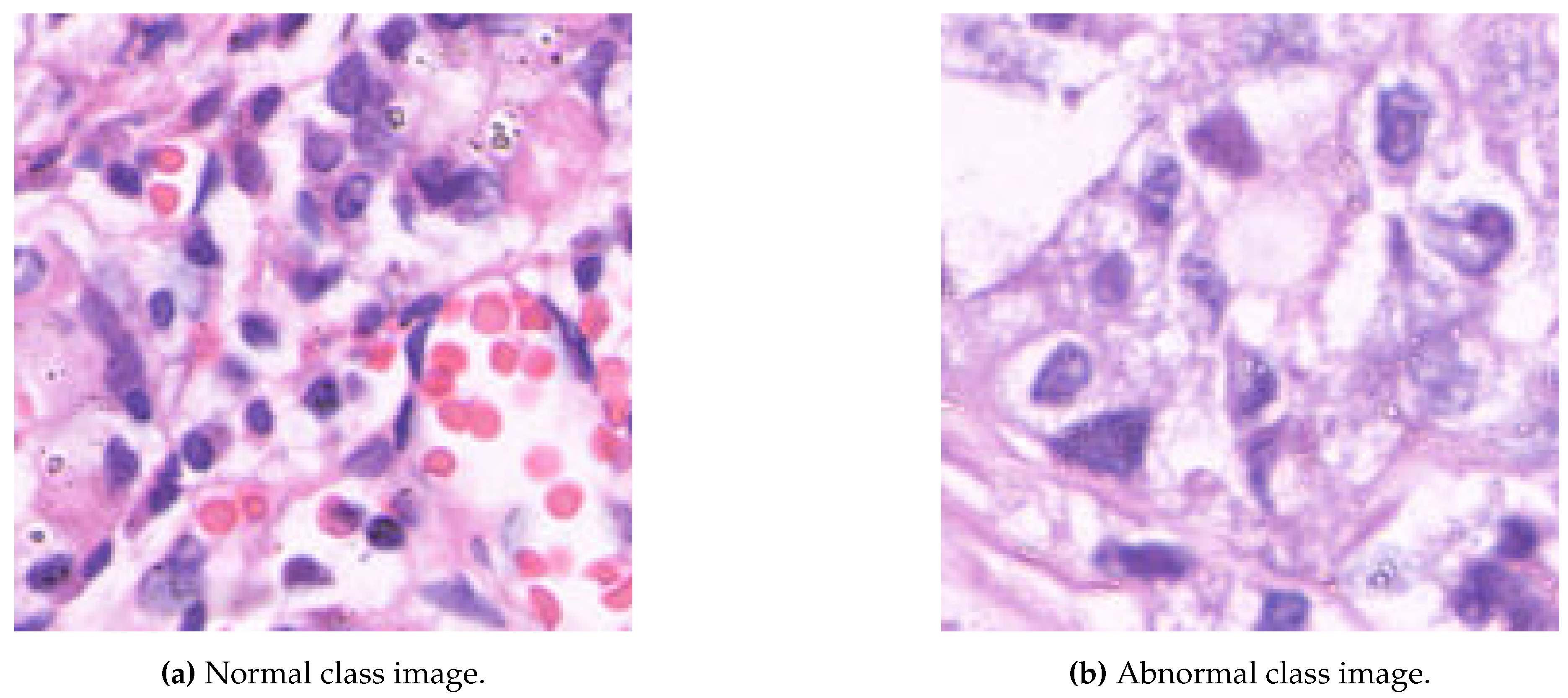 Preprints 111120 g001