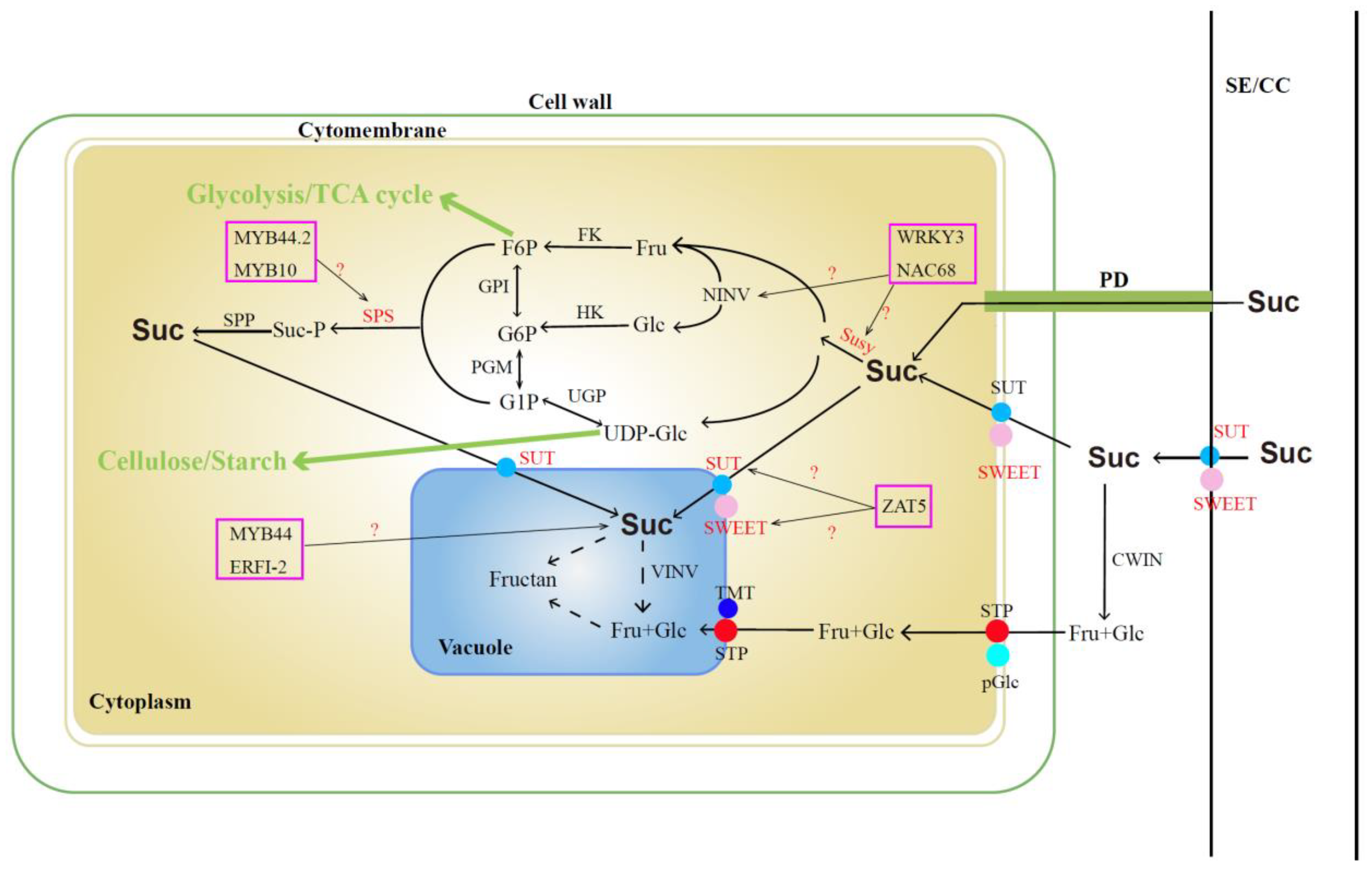 Preprints 97549 g001