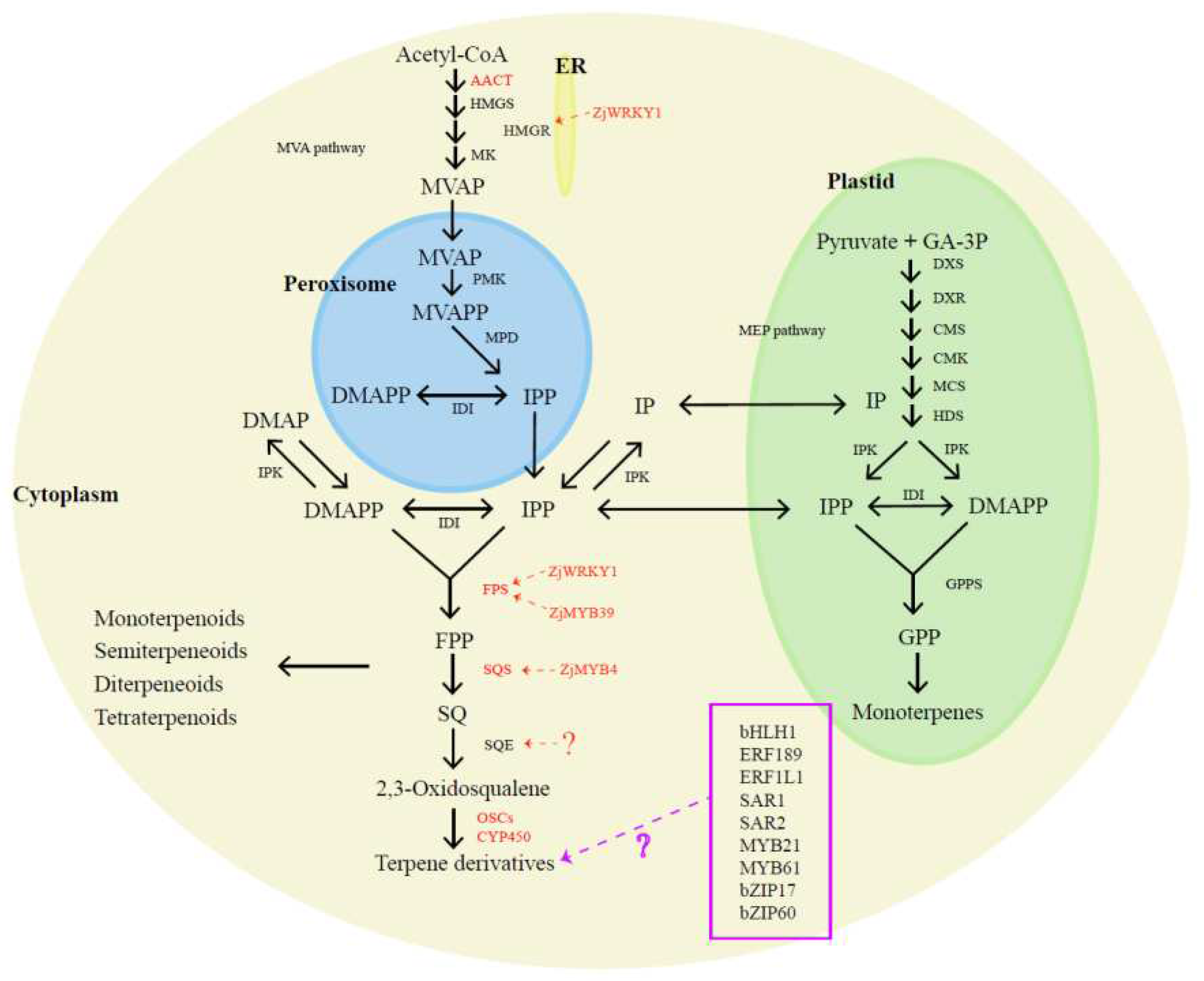 Preprints 97549 g002