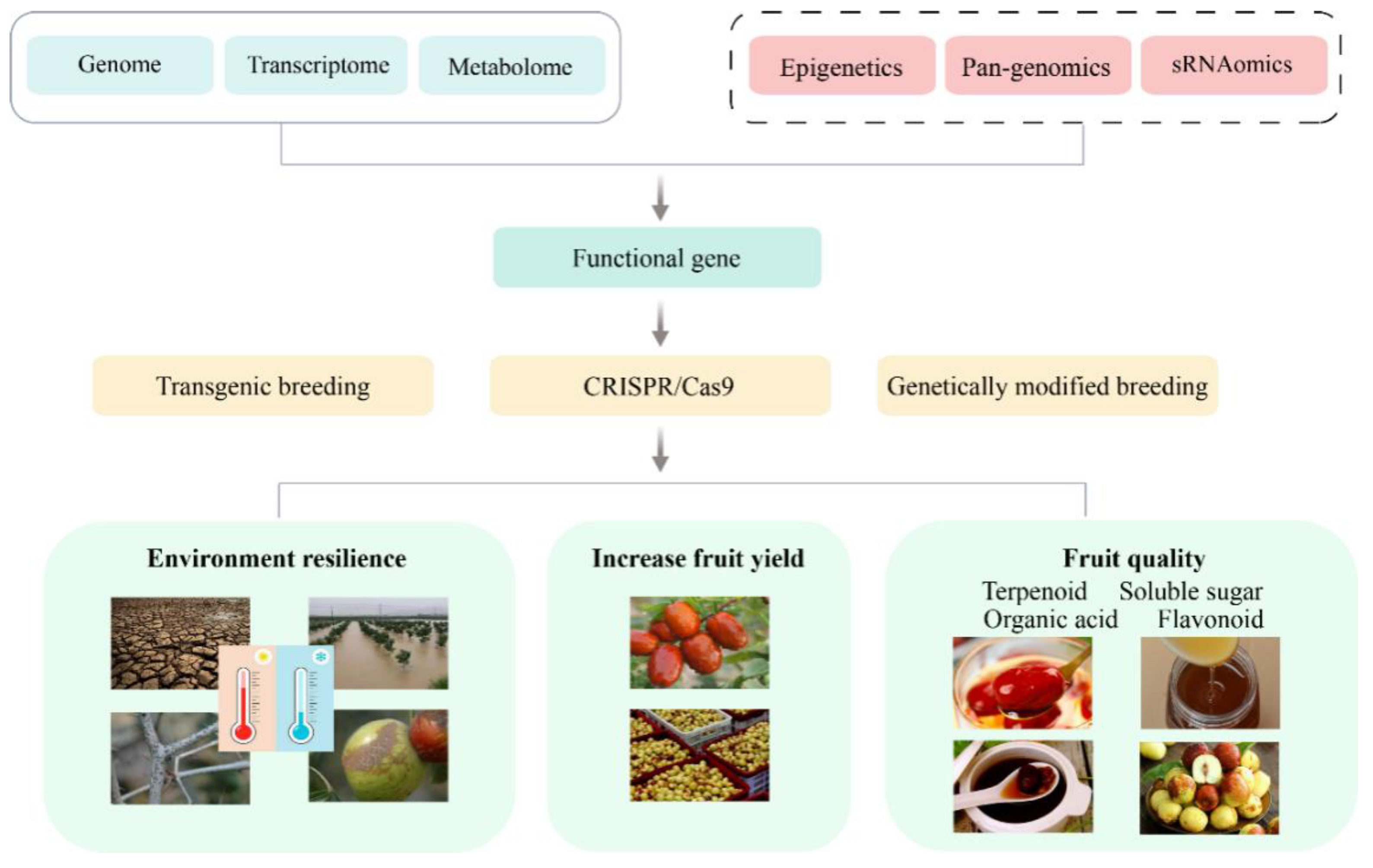 Preprints 97549 g003