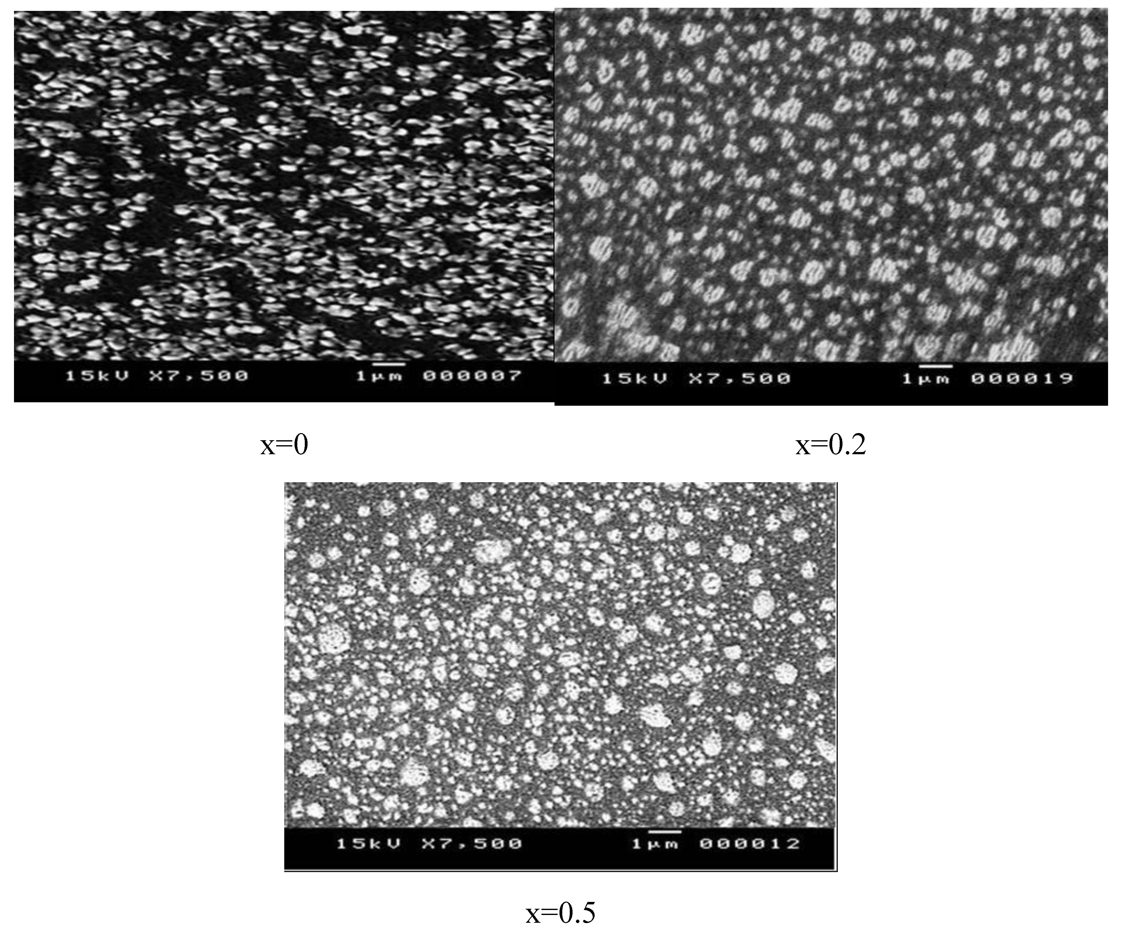 Preprints 109345 g003