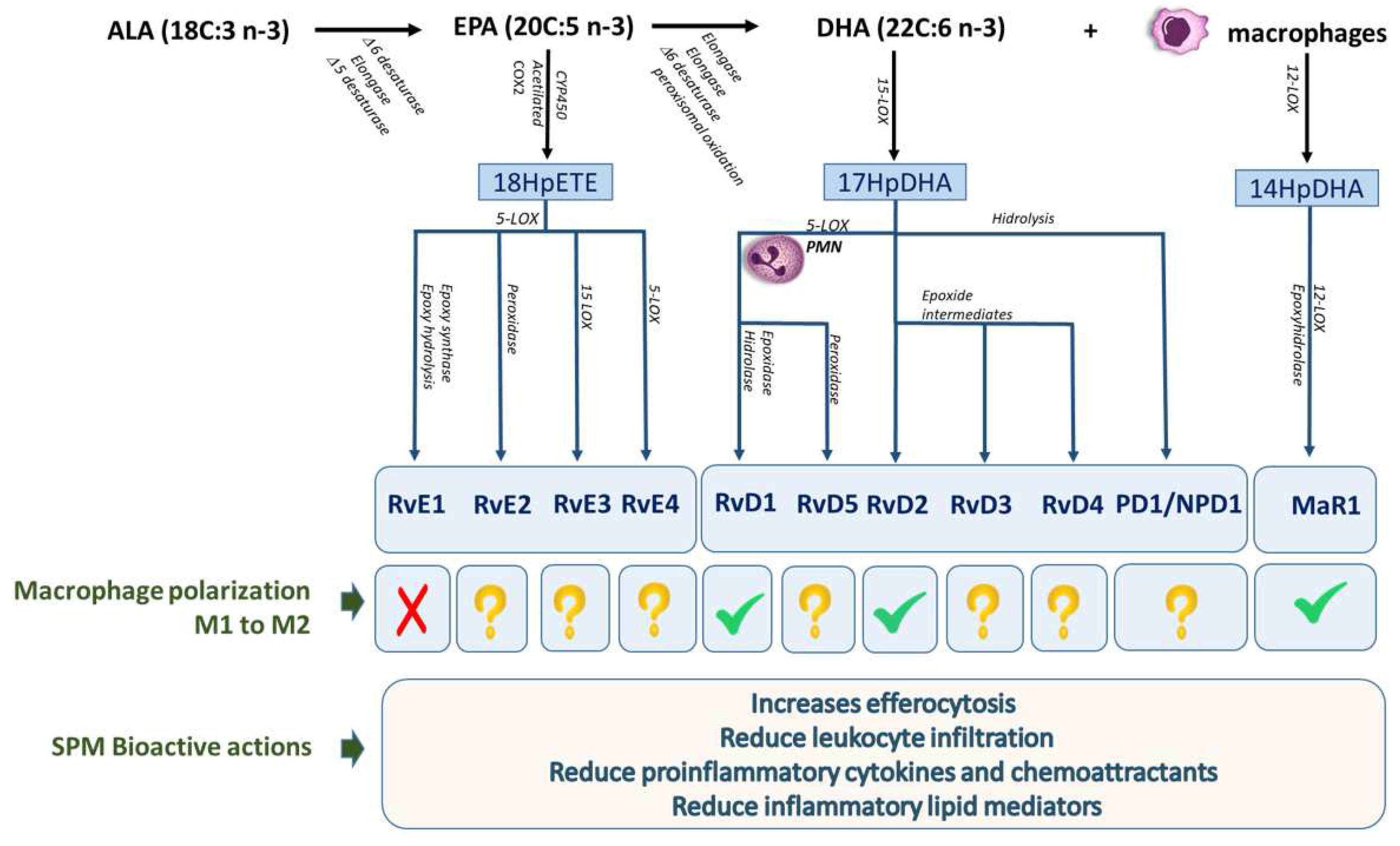 Preprints 86761 g002