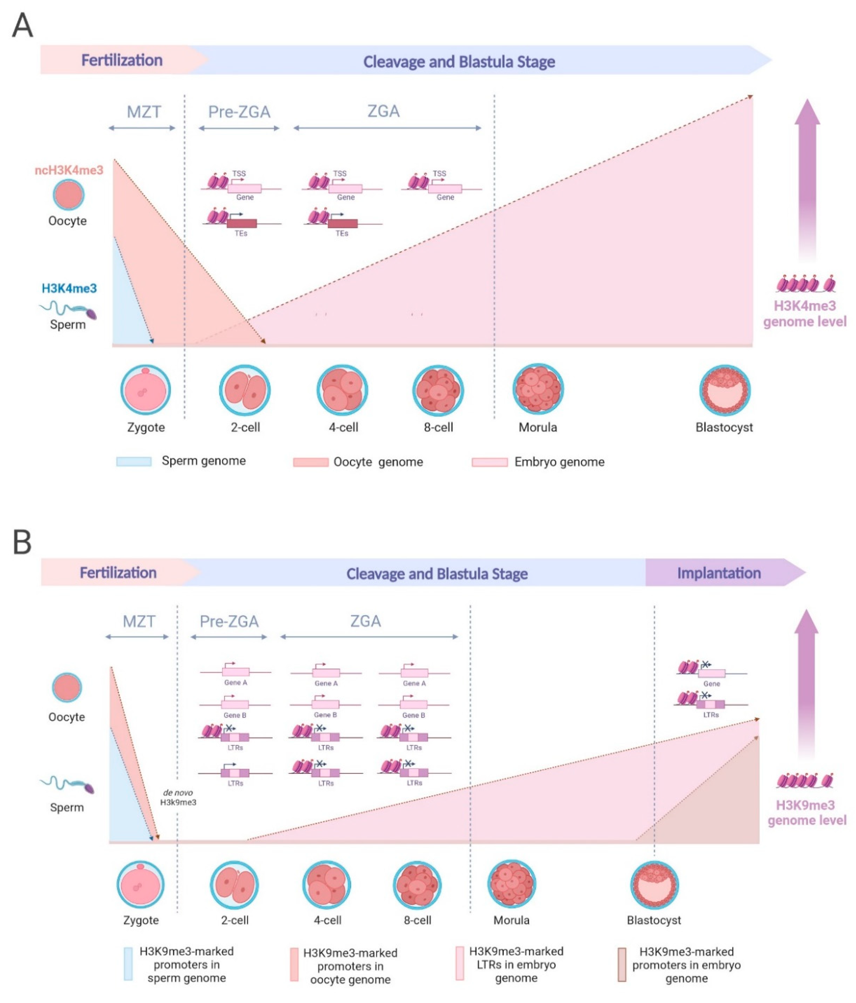 Preprints 94890 g001