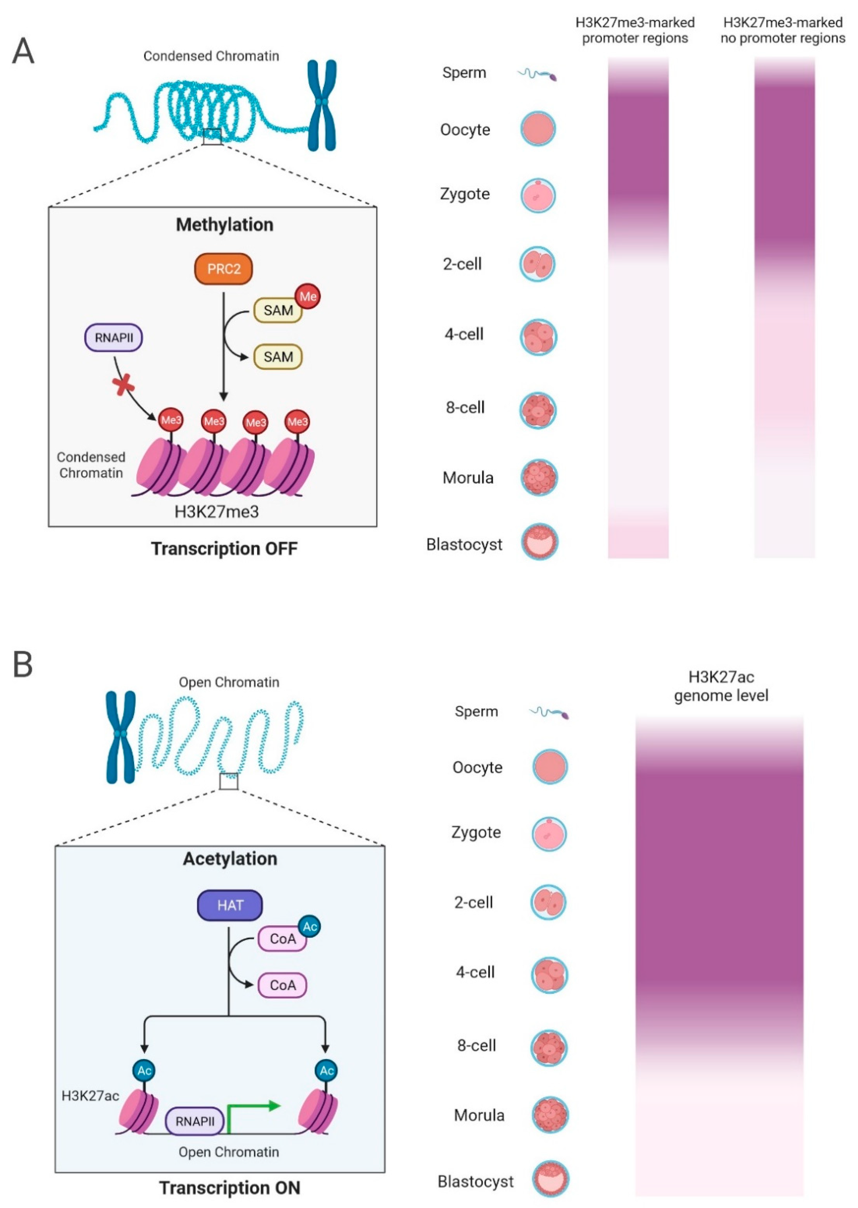 Preprints 94890 g002