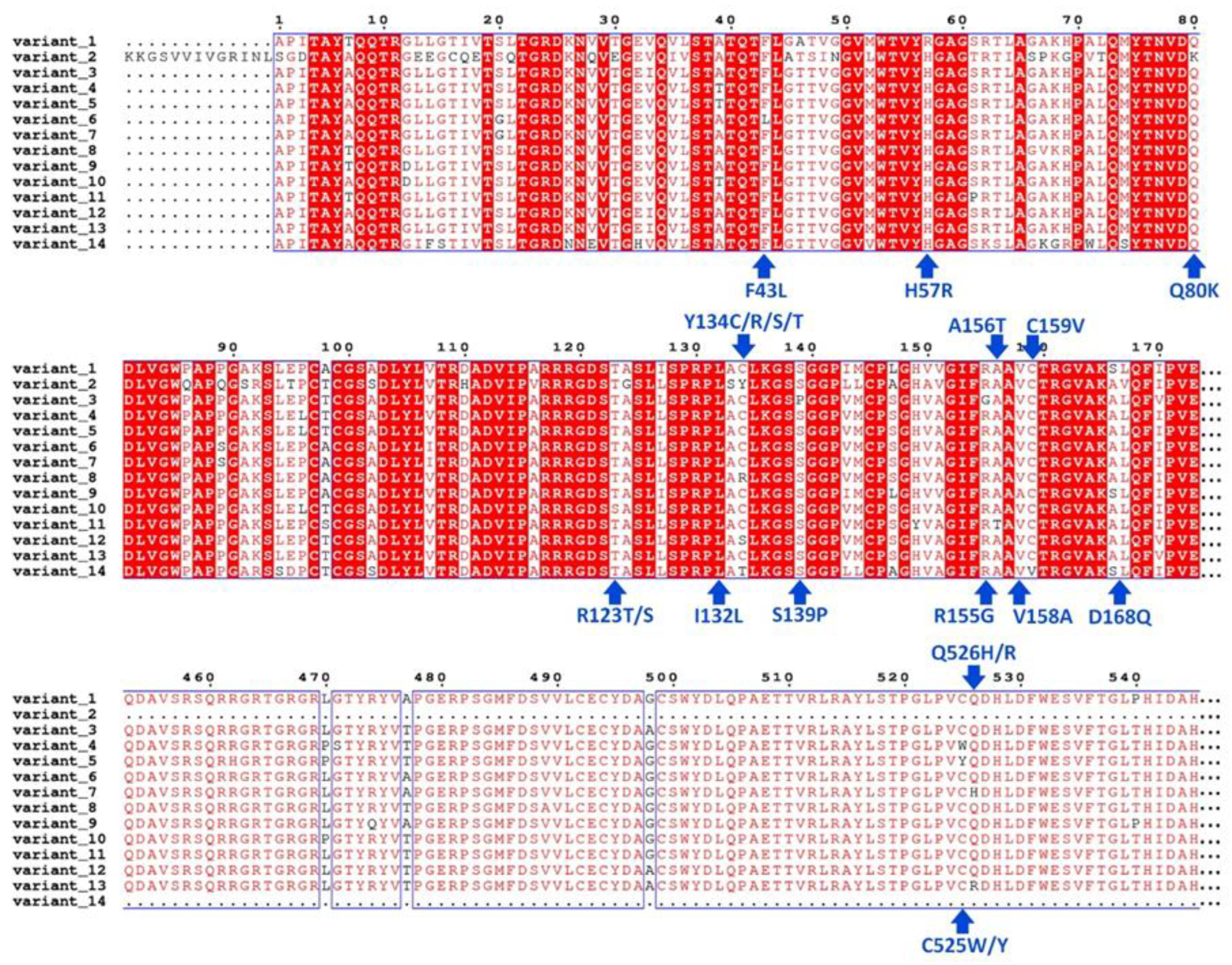 Preprints 112084 g002