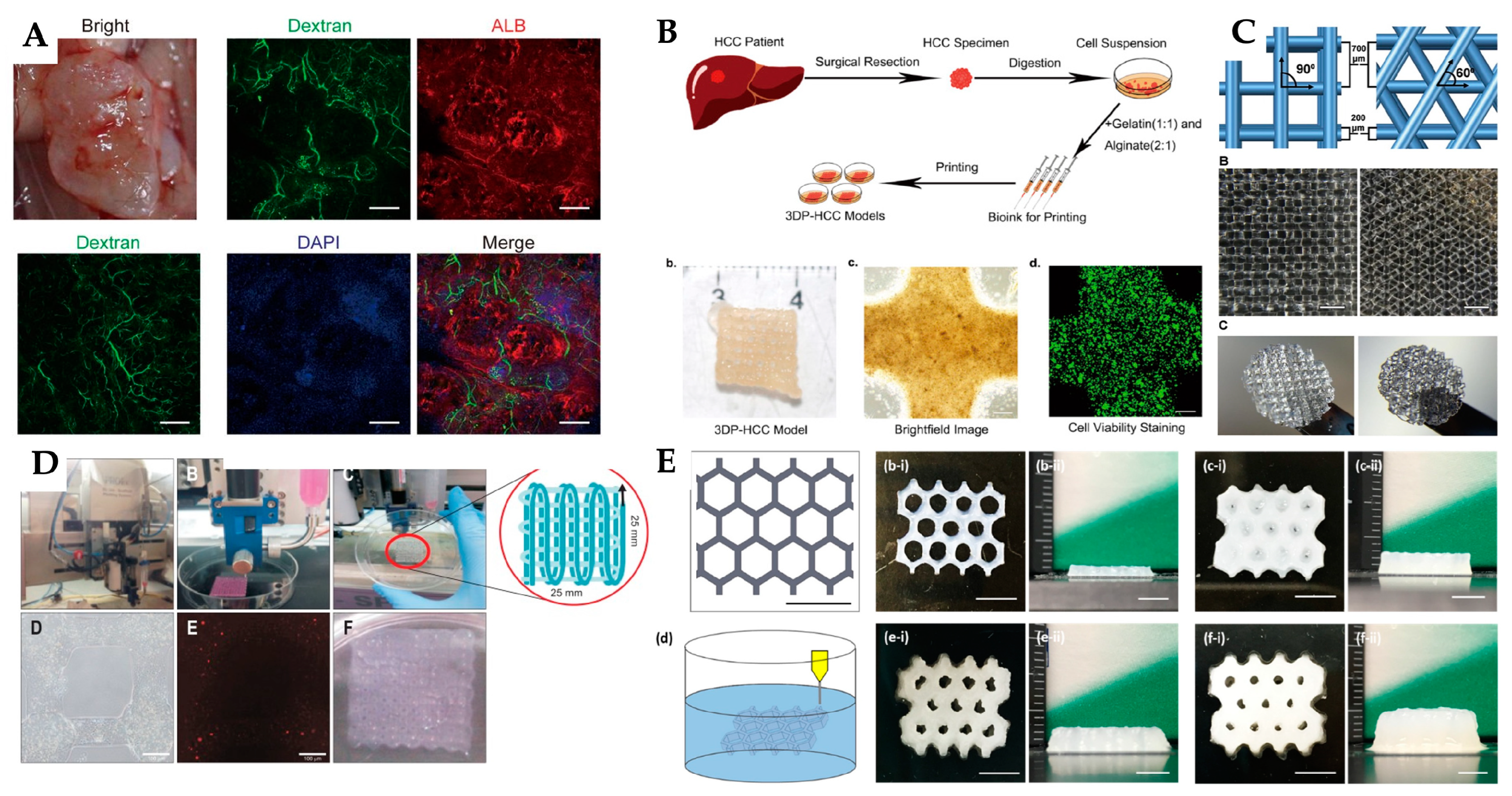 Preprints 115542 g006