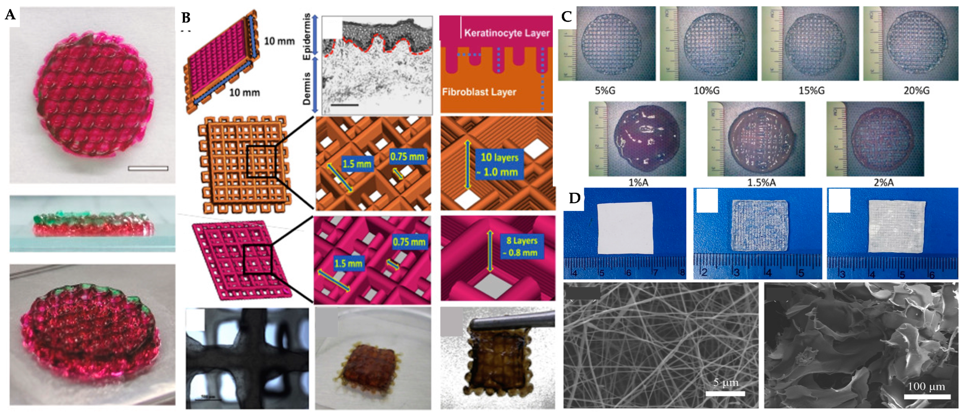 Preprints 115542 g007