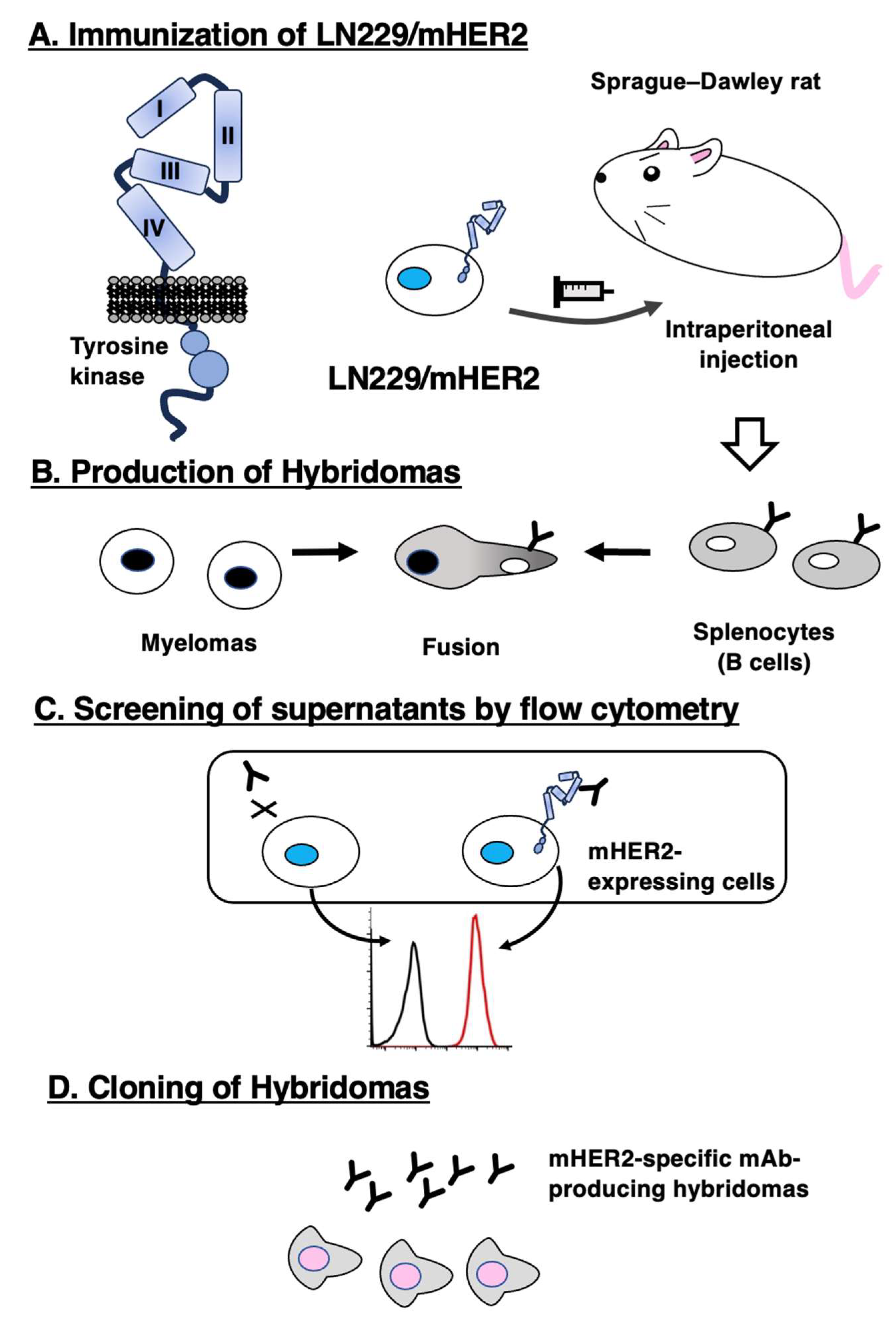 Preprints 79151 g001