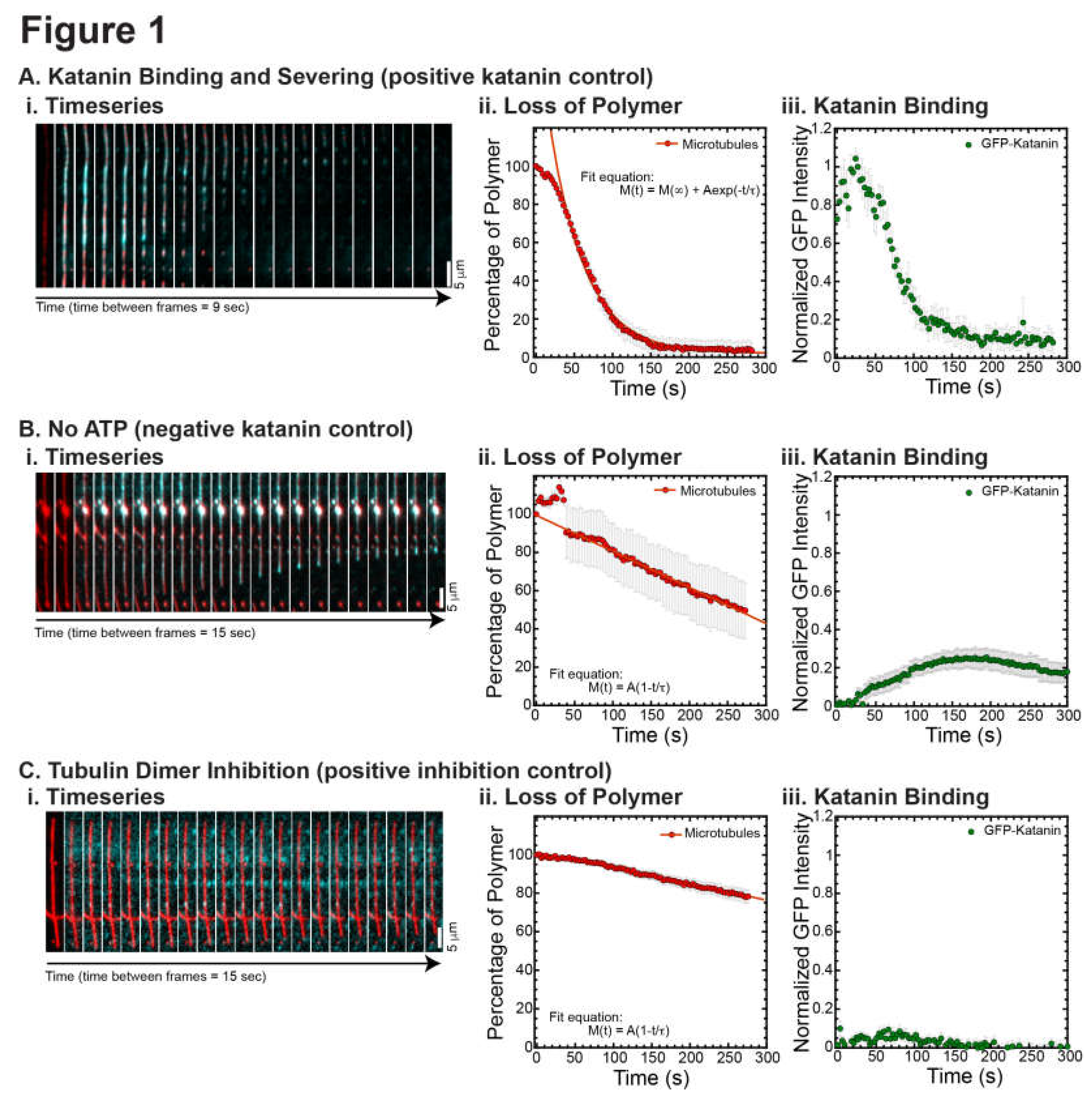 Preprints 67011 g001