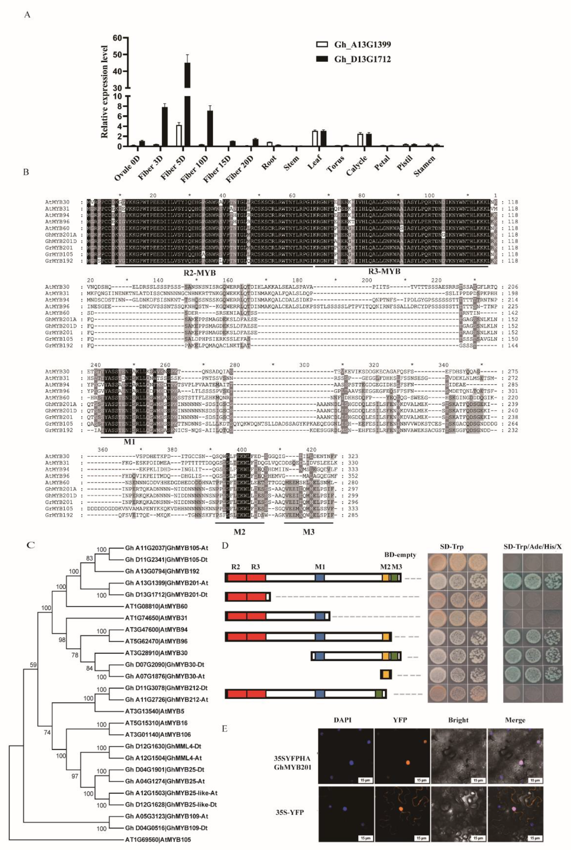 Preprints 115544 g001