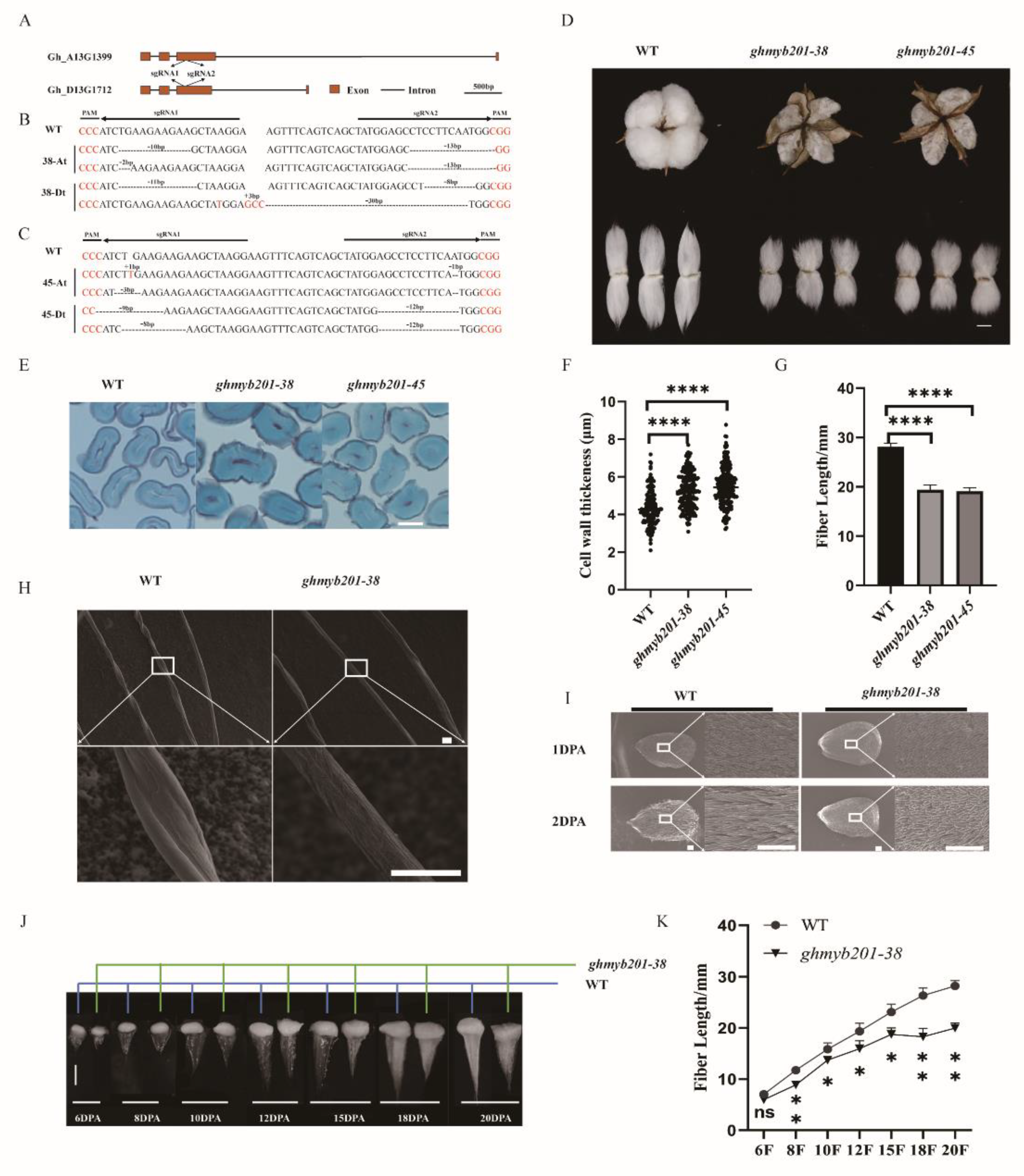 Preprints 115544 g002