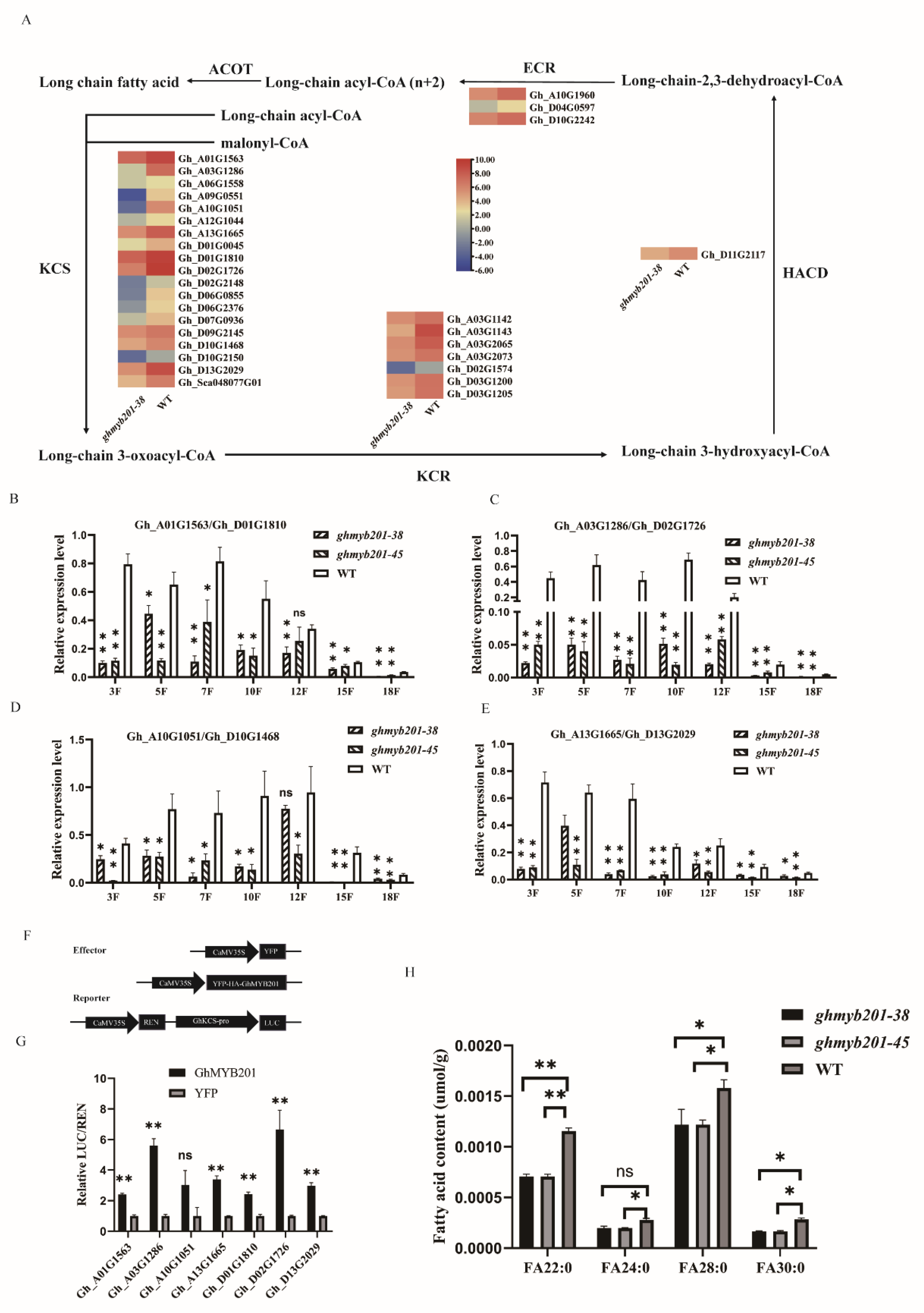 Preprints 115544 g004