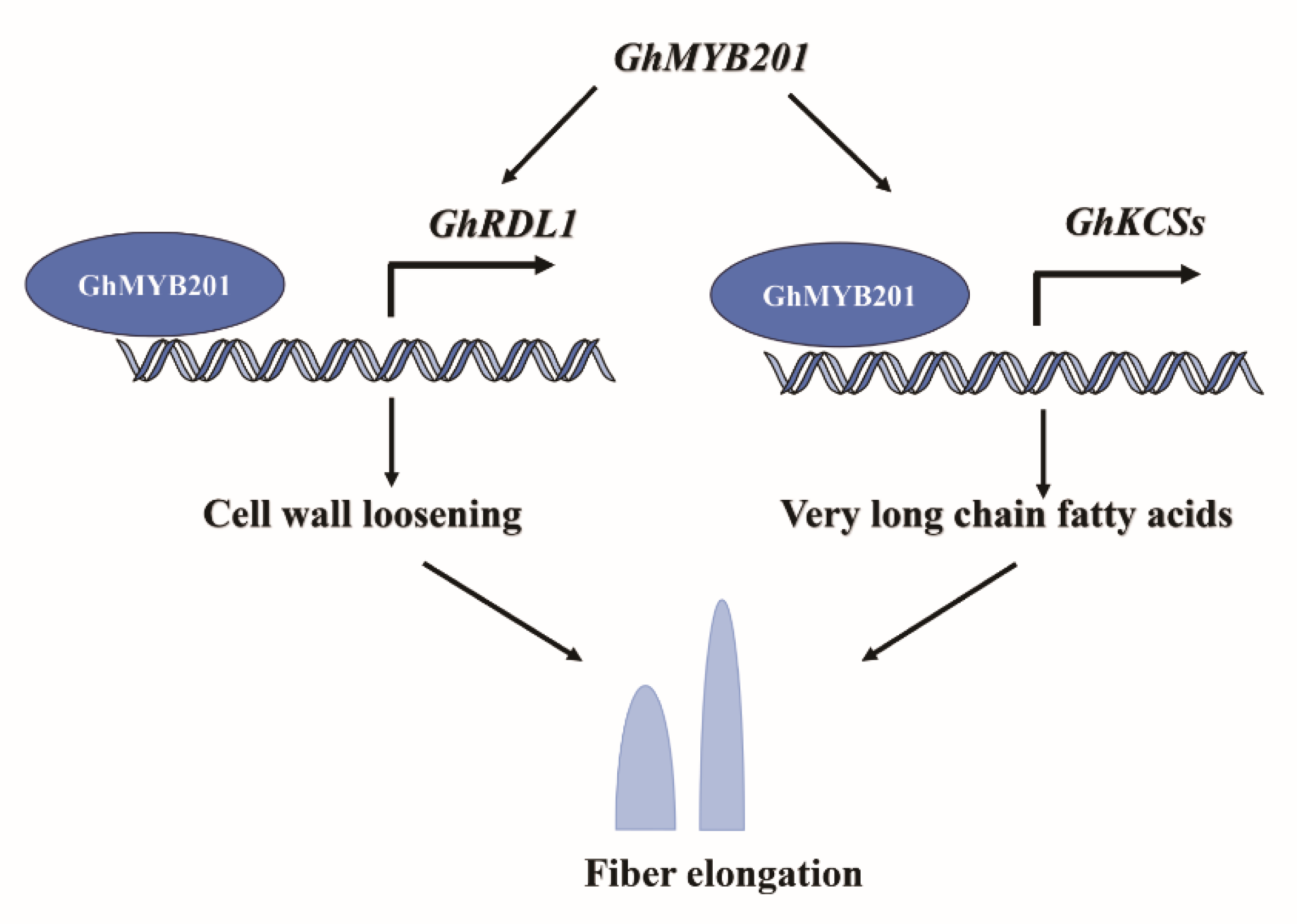 Preprints 115544 g005