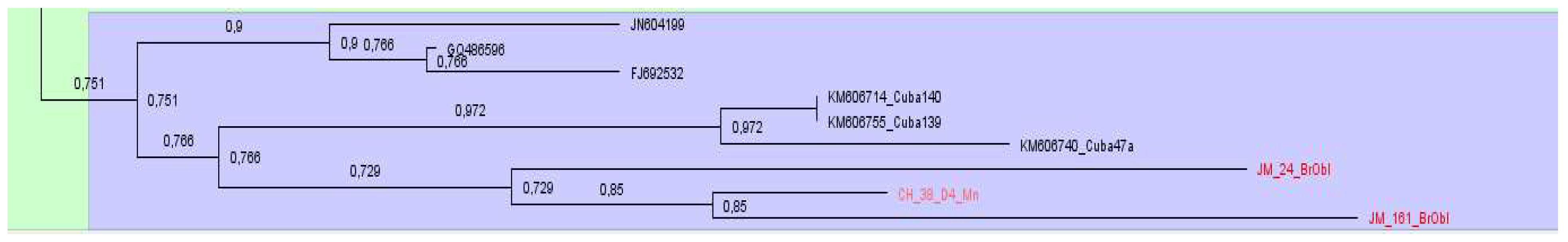 Preprints 137479 g011