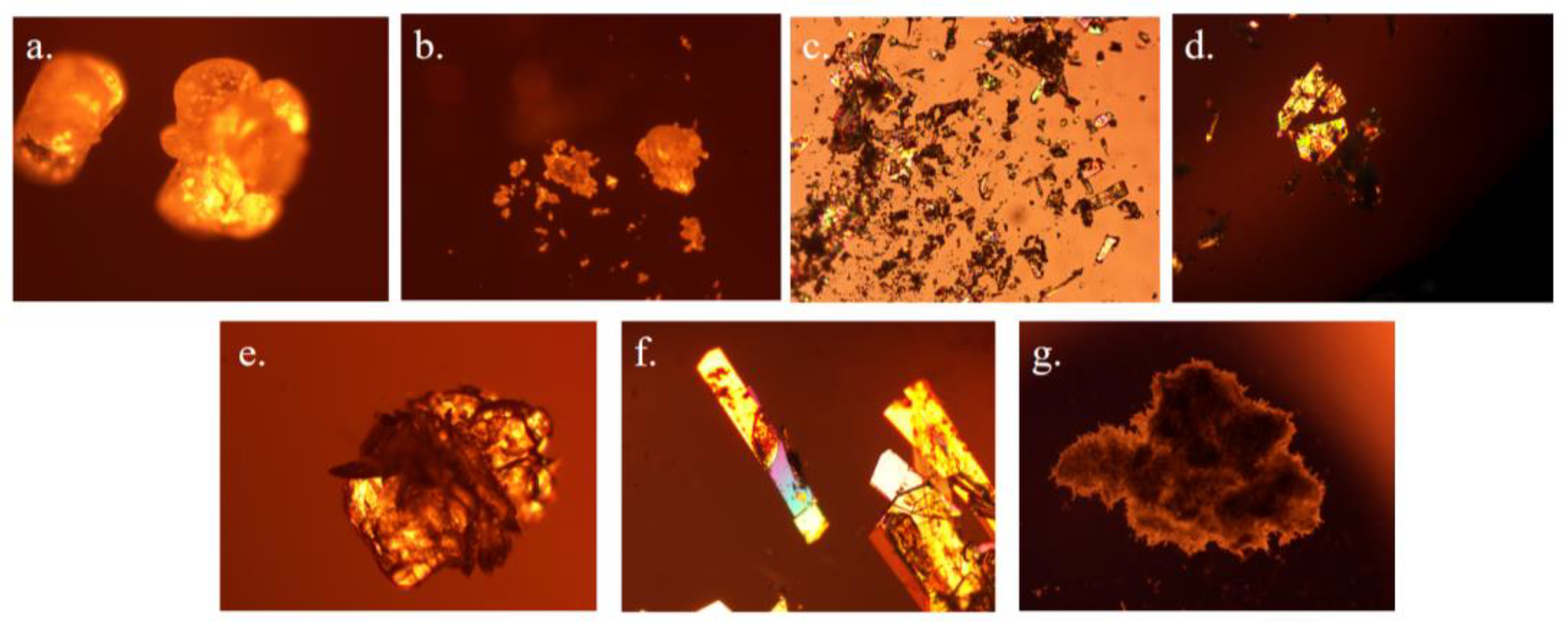 Preprints 90558 g013