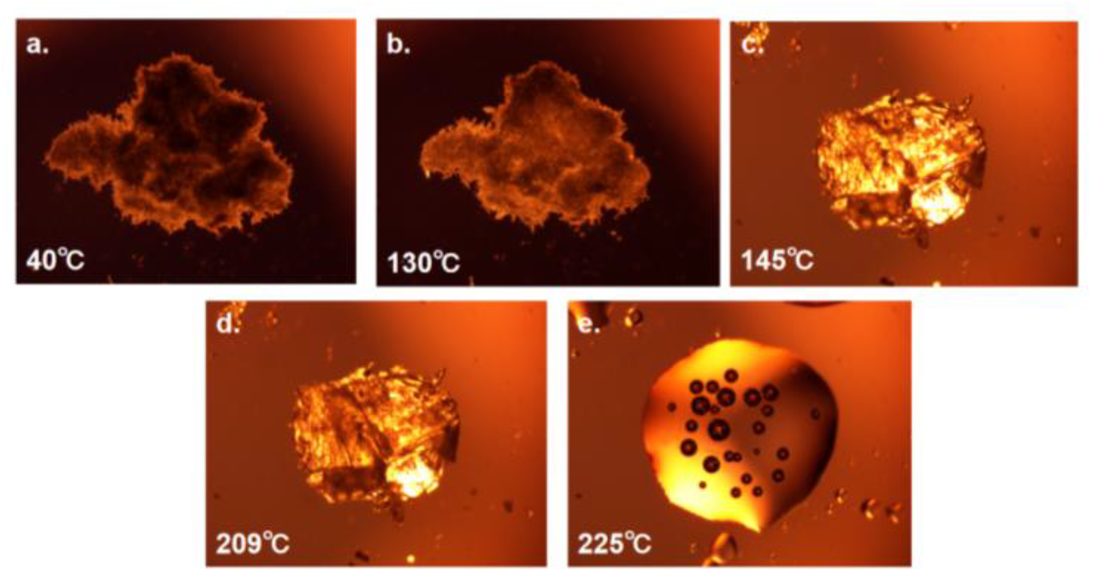 Preprints 90558 g015