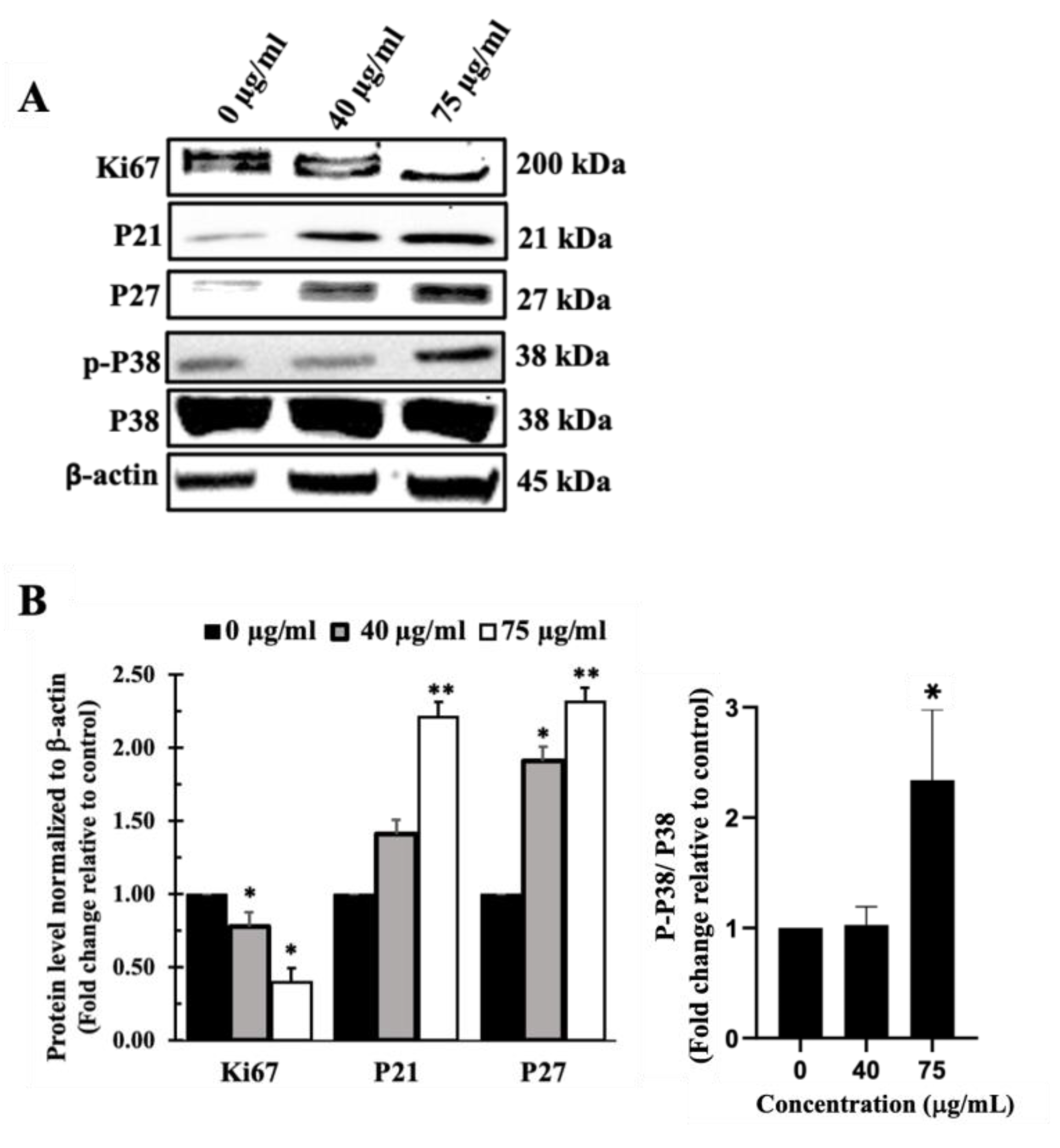 Preprints 111564 g006