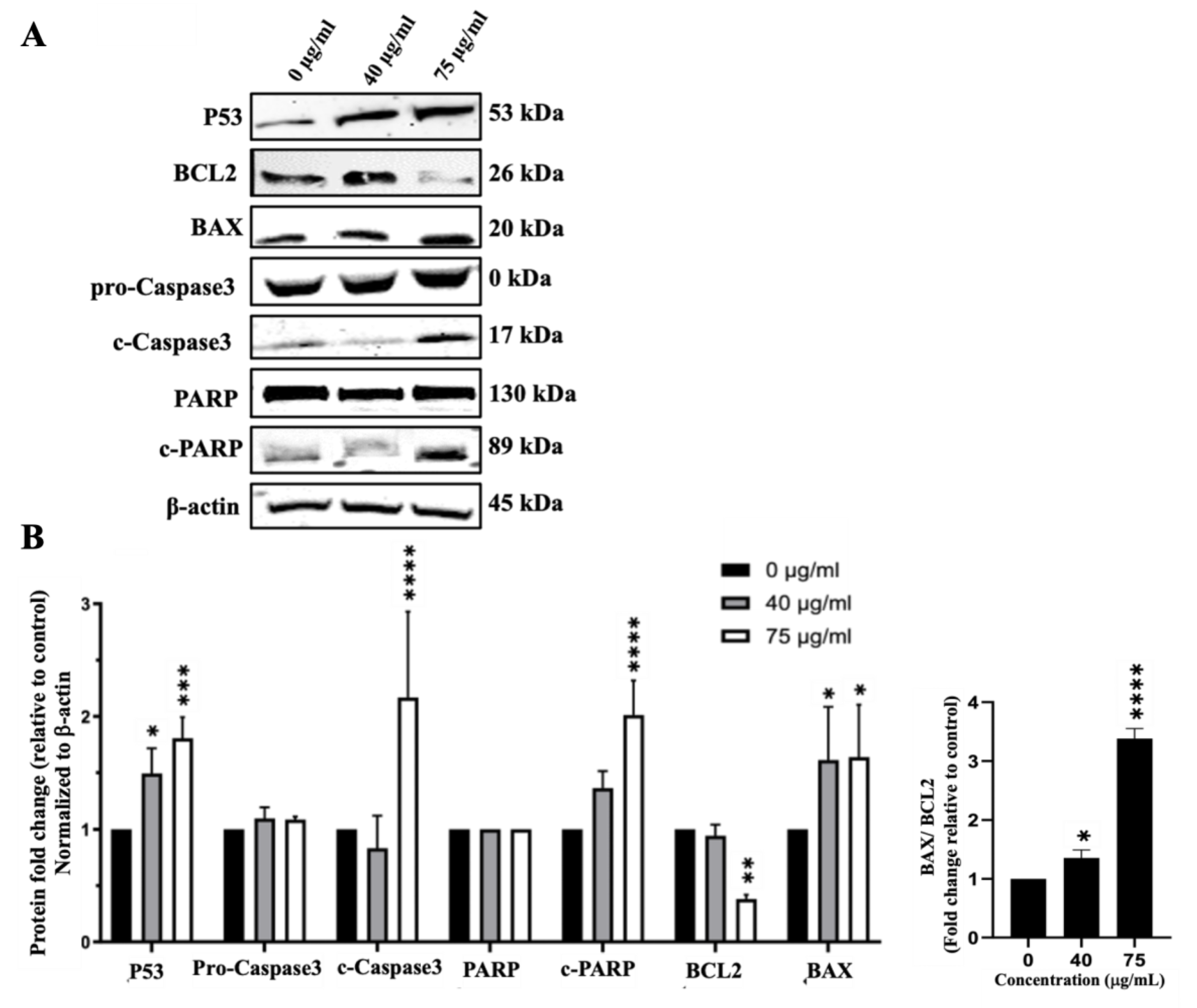 Preprints 111564 g007