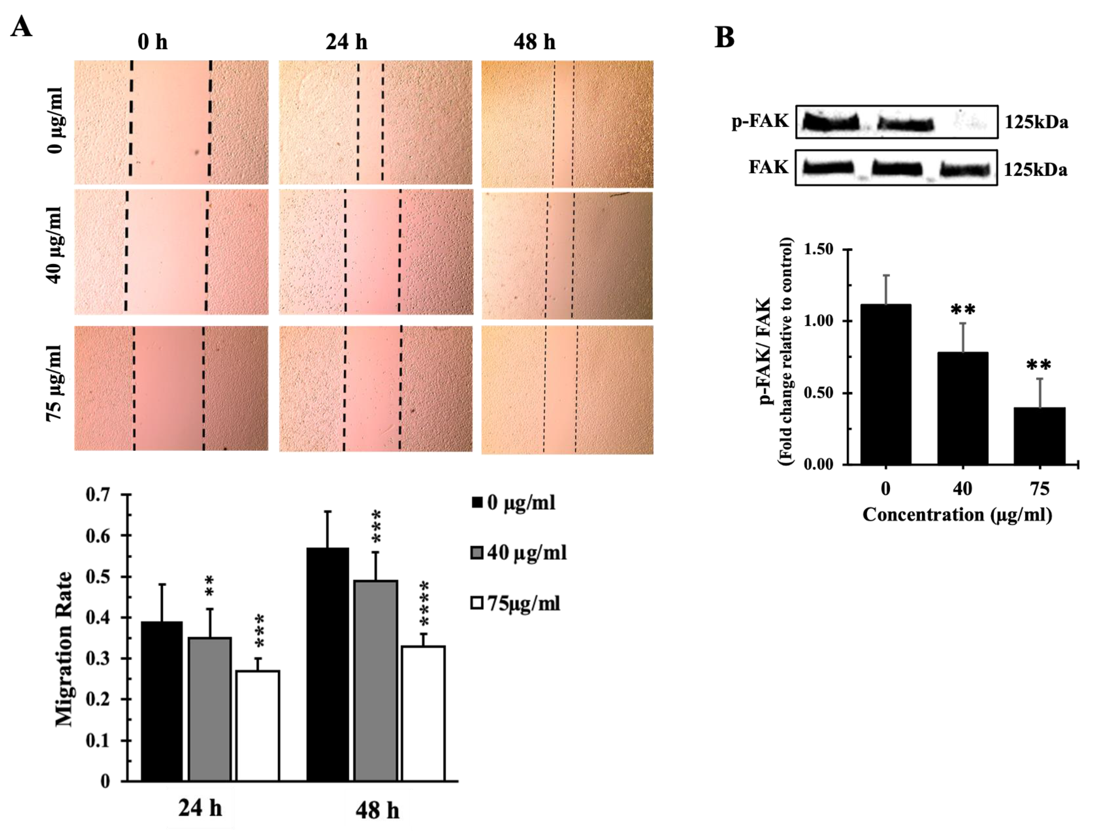 Preprints 111564 g008