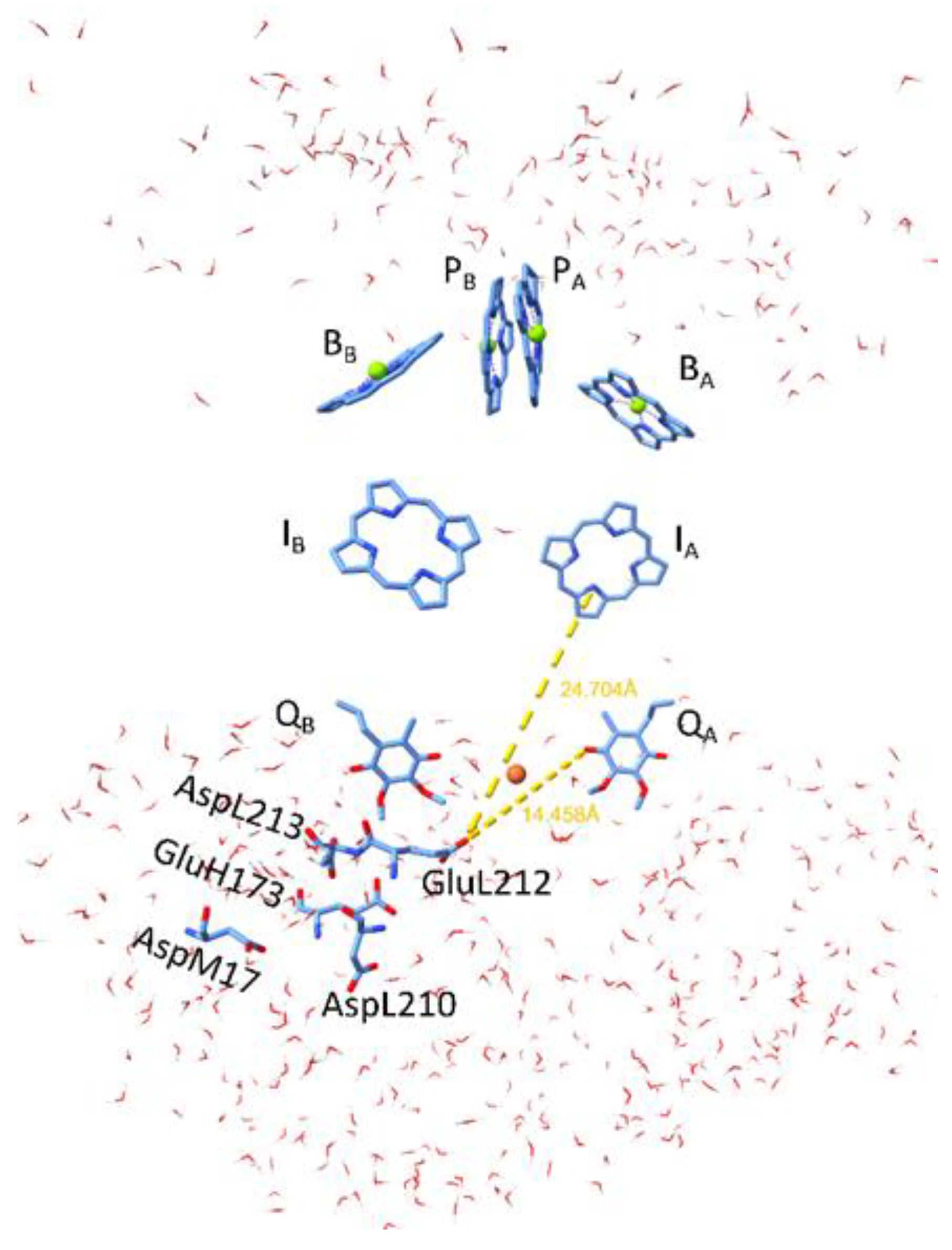 Preprints 119225 g001