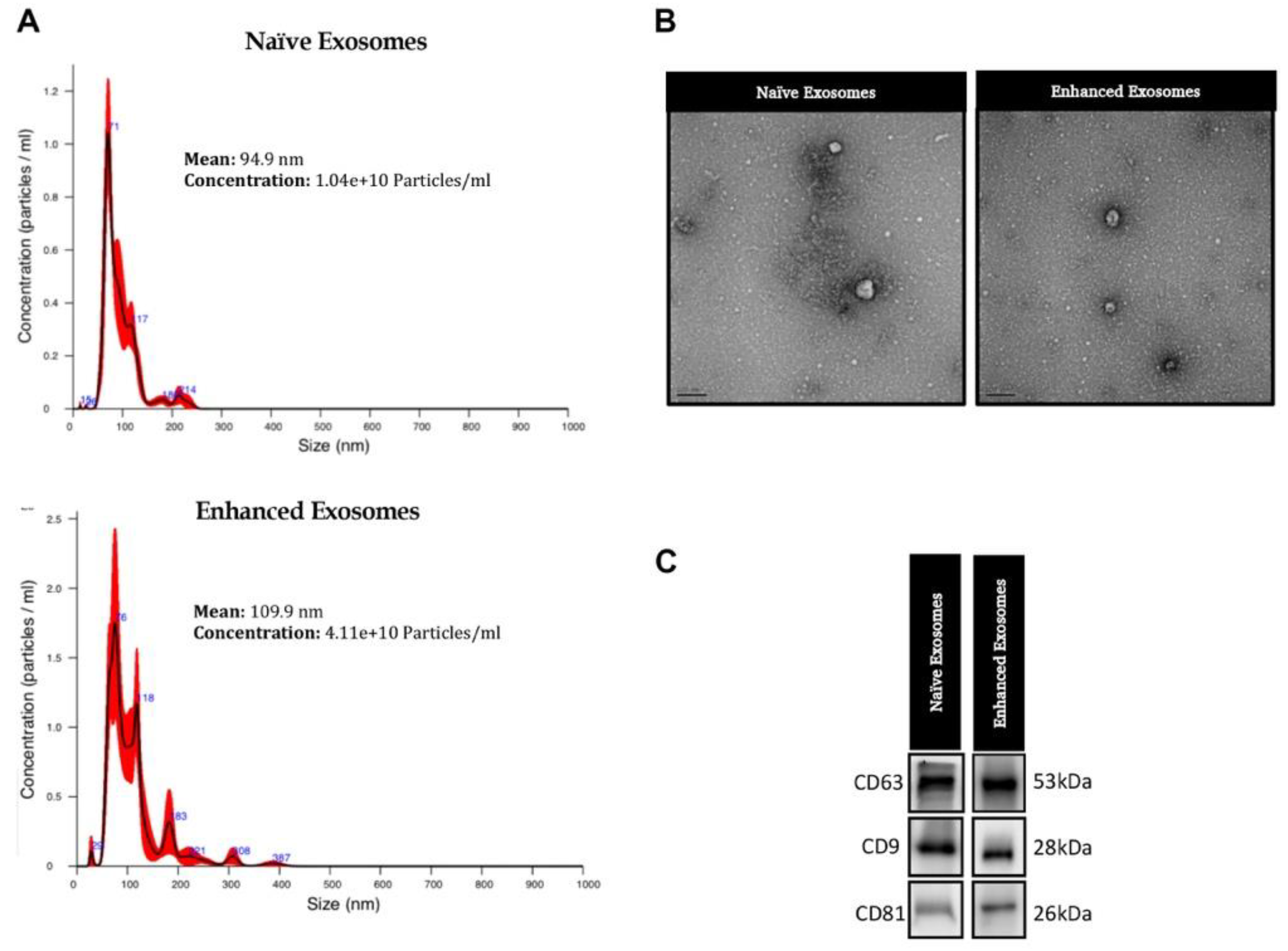 Preprints 102648 g001