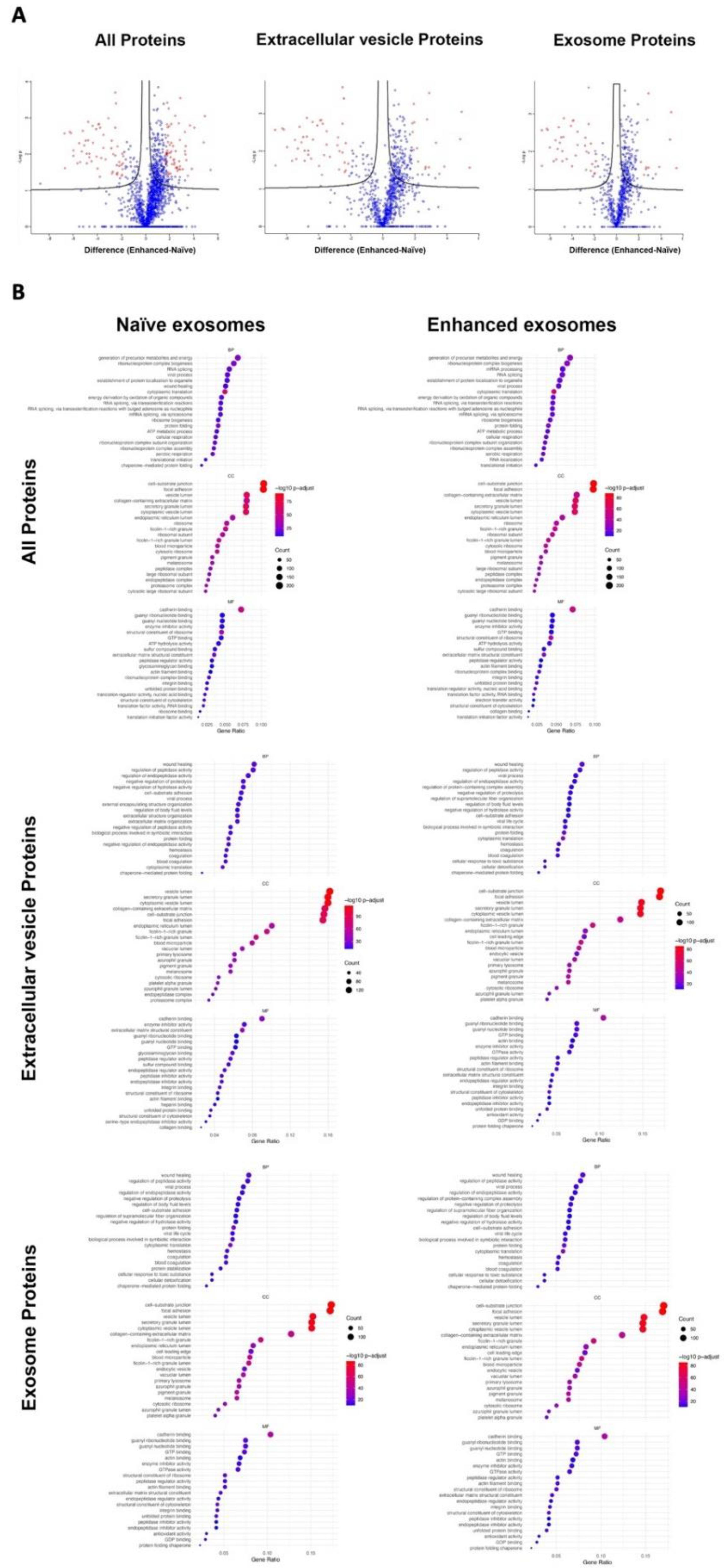 Preprints 102648 g002