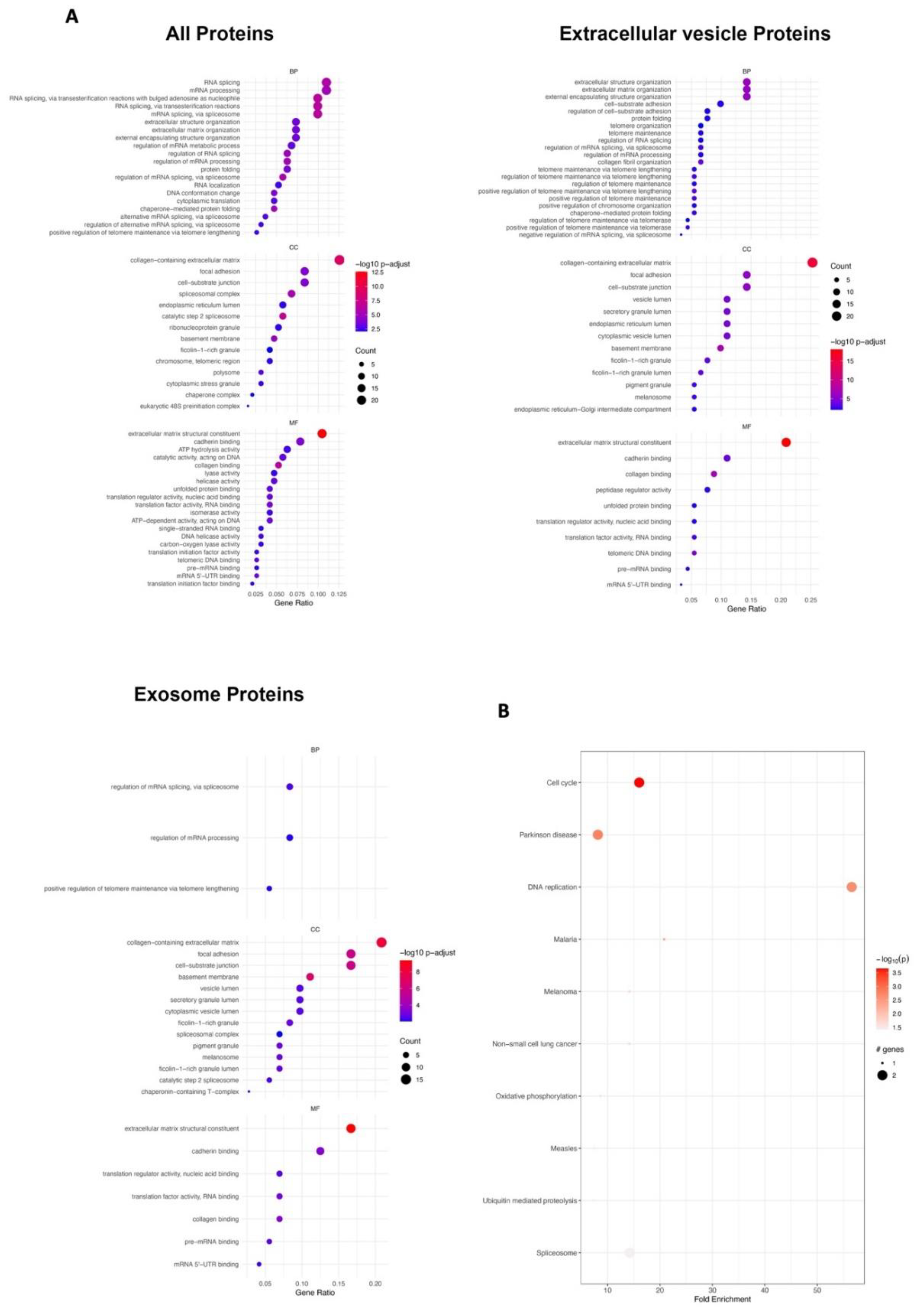 Preprints 102648 g003