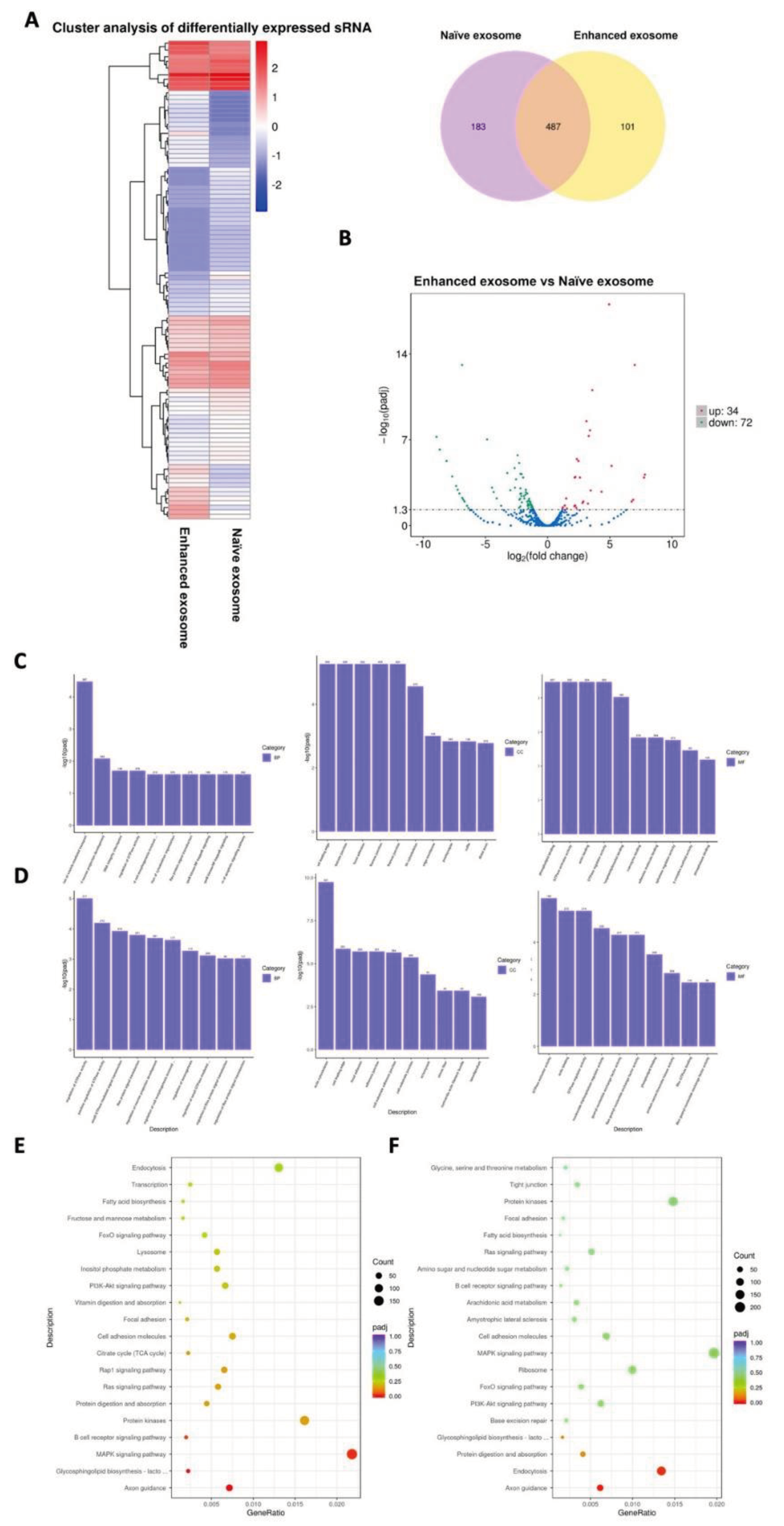 Preprints 102648 g004