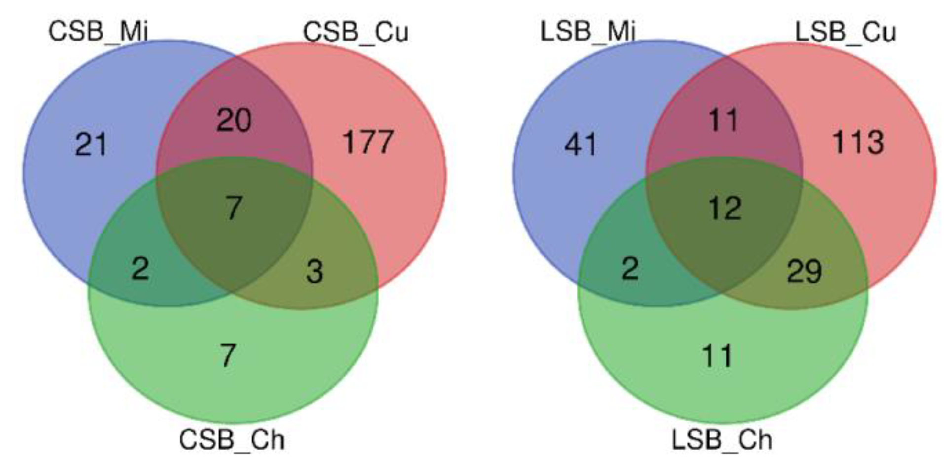 Preprints 103926 g006