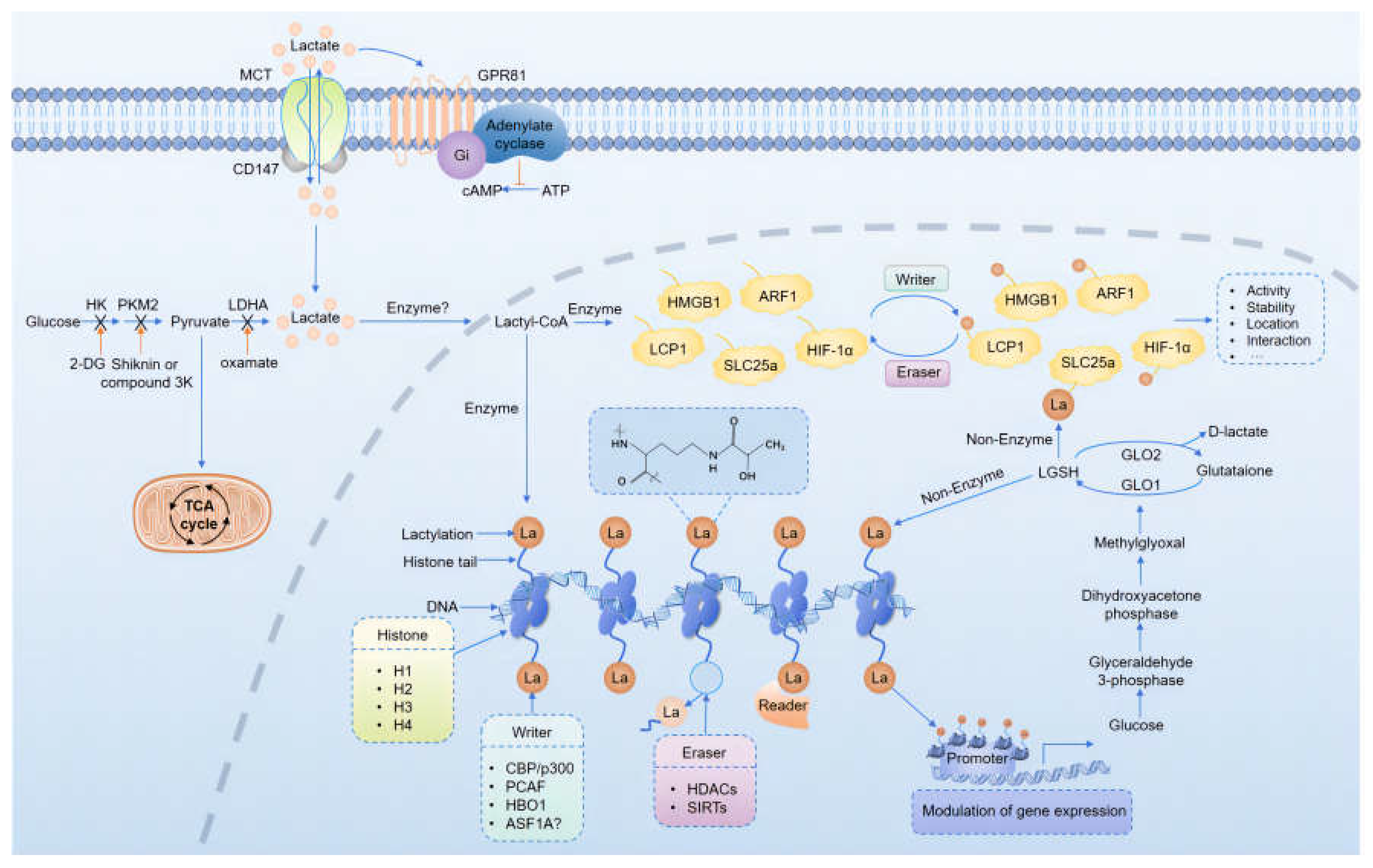 Preprints 112552 g001