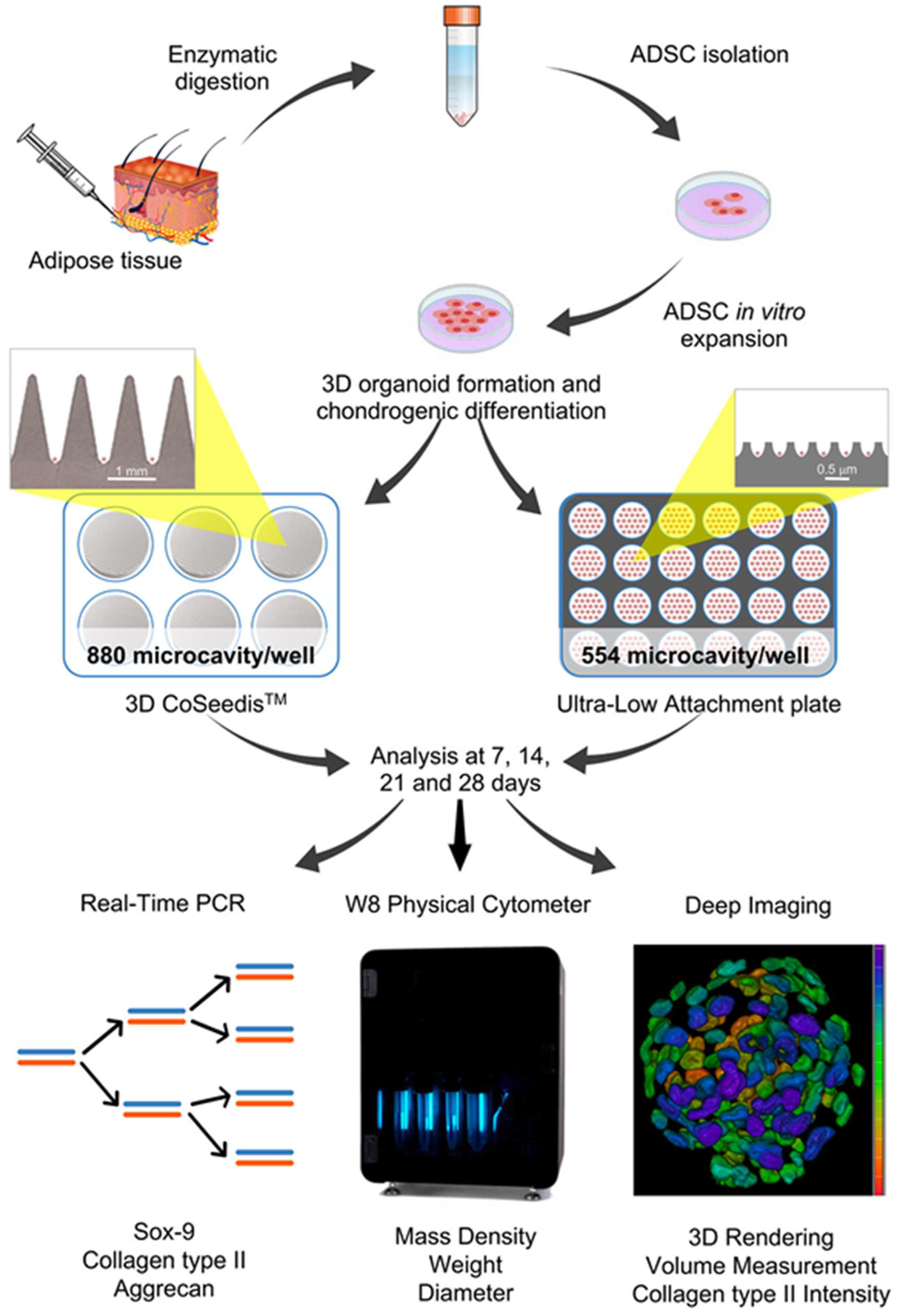 Preprints 86192 g001