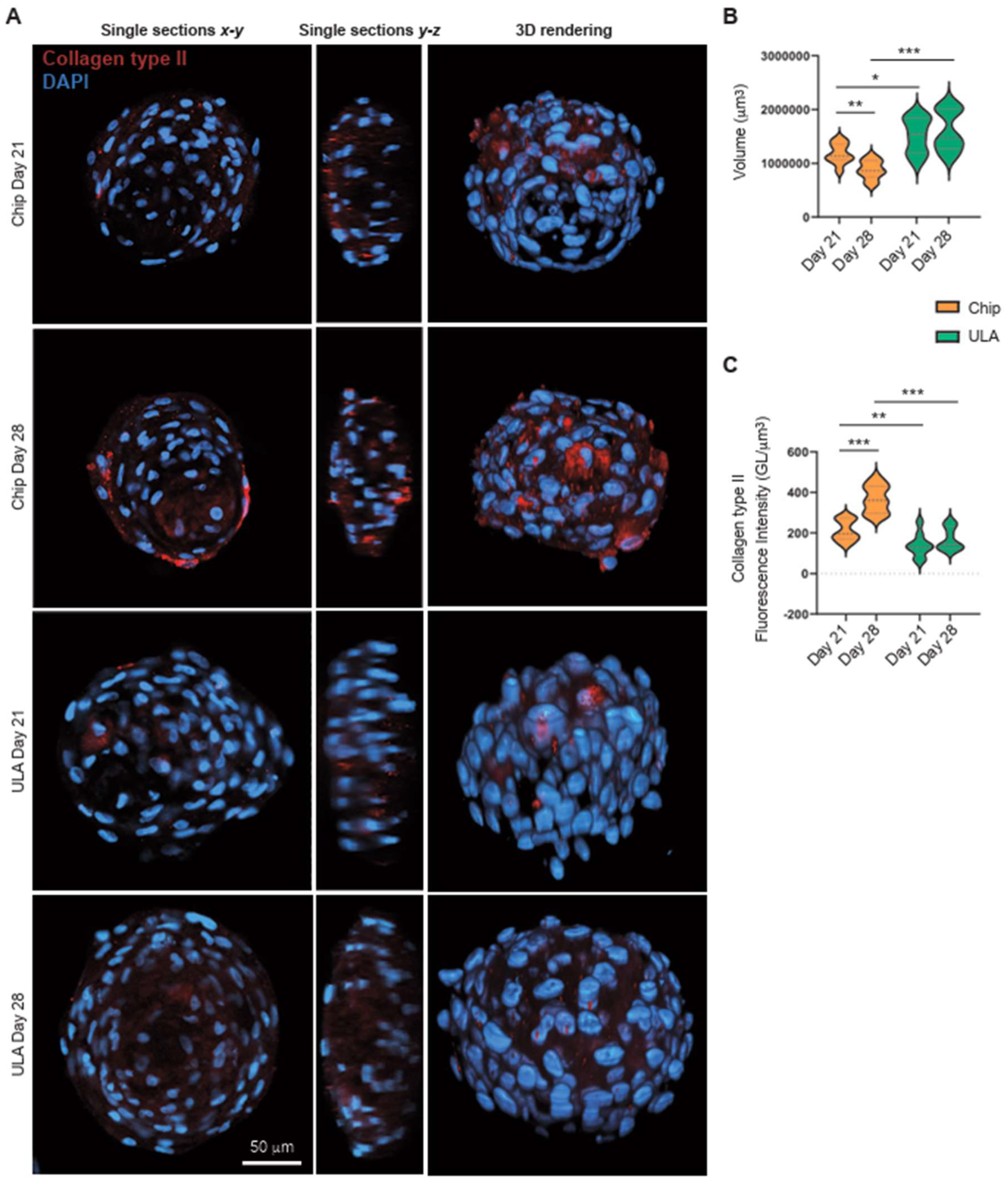 Preprints 86192 g003