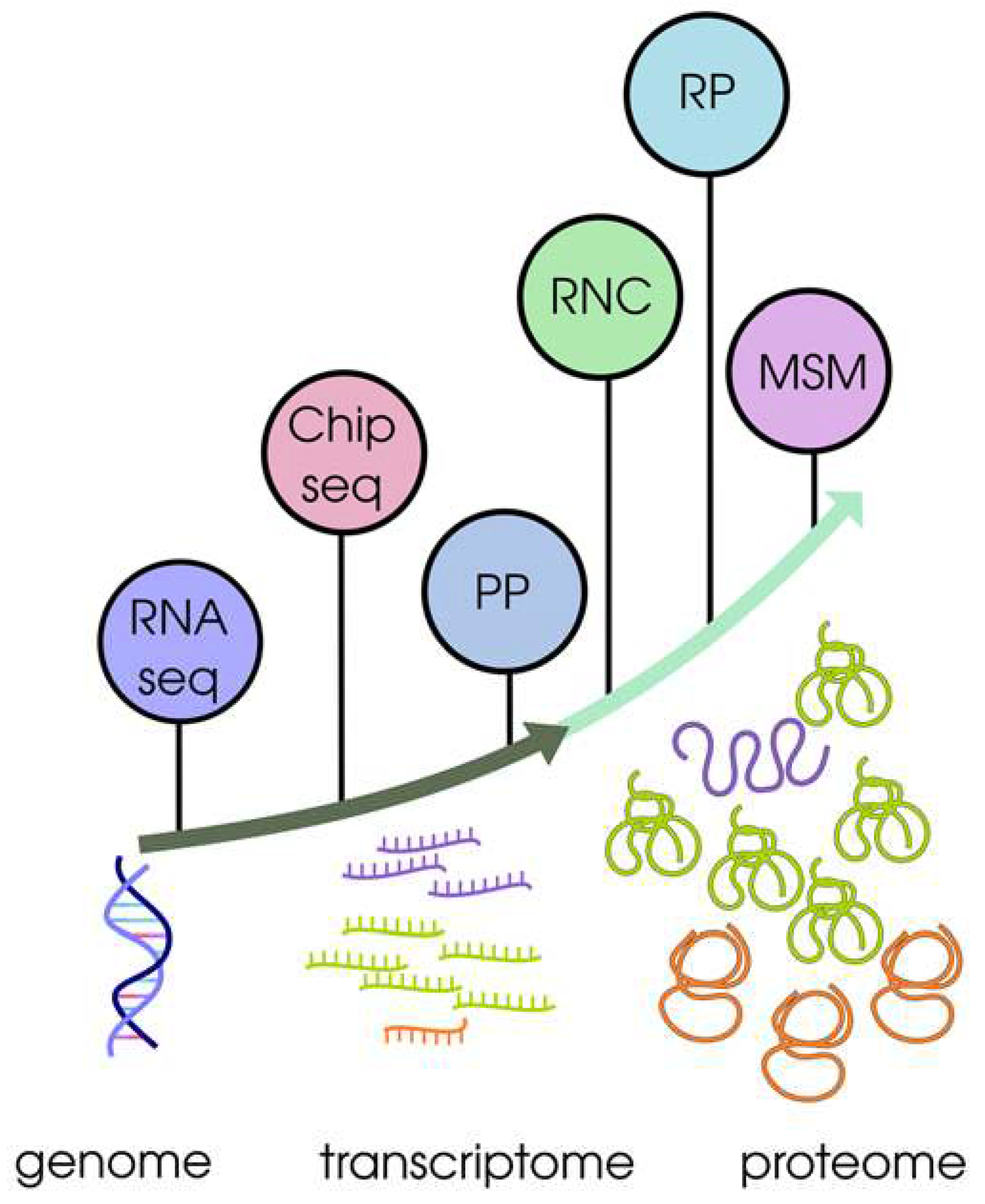 Preprints 83946 g001