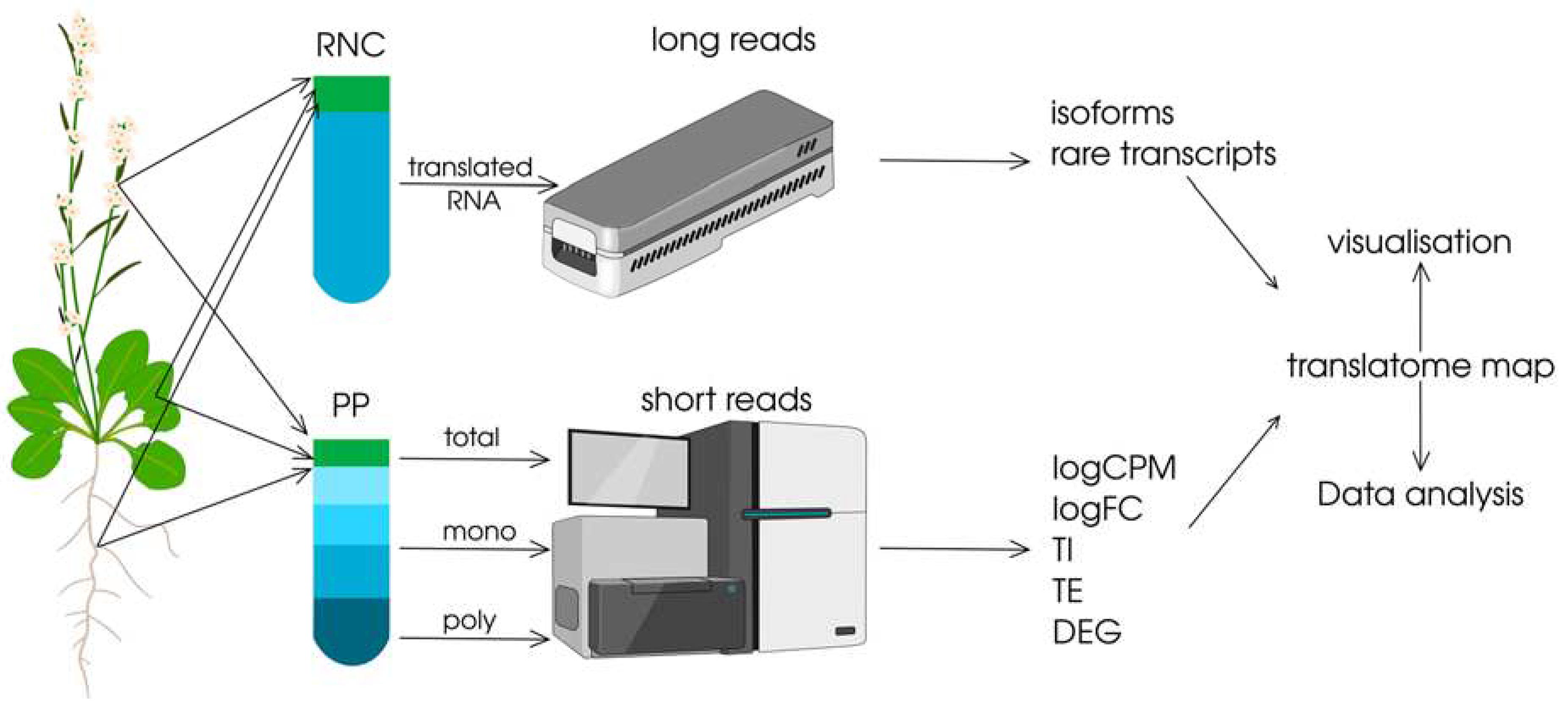 Preprints 83946 g003