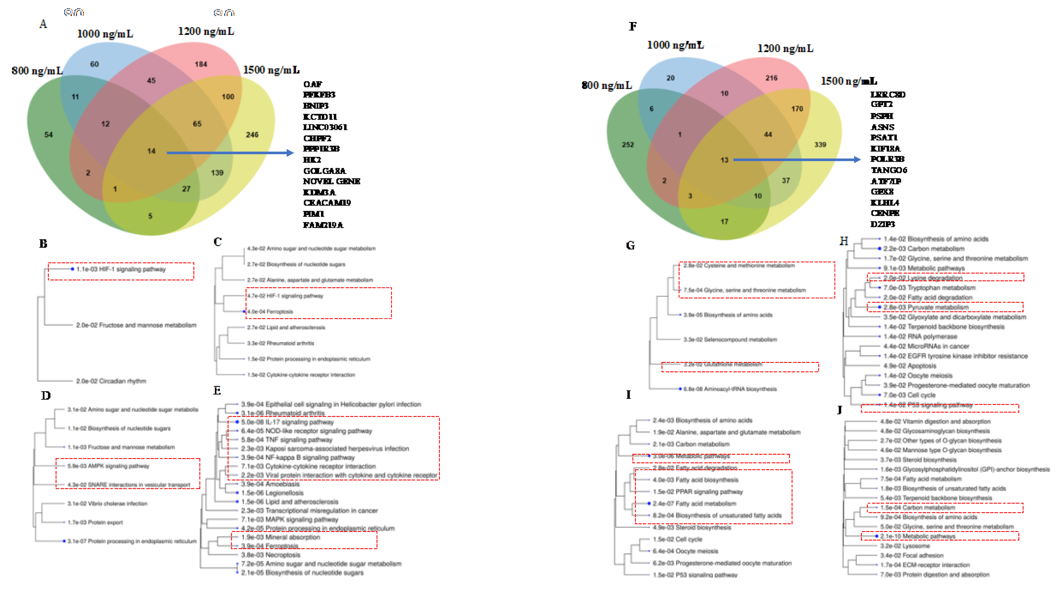 Preprints 108797 g004