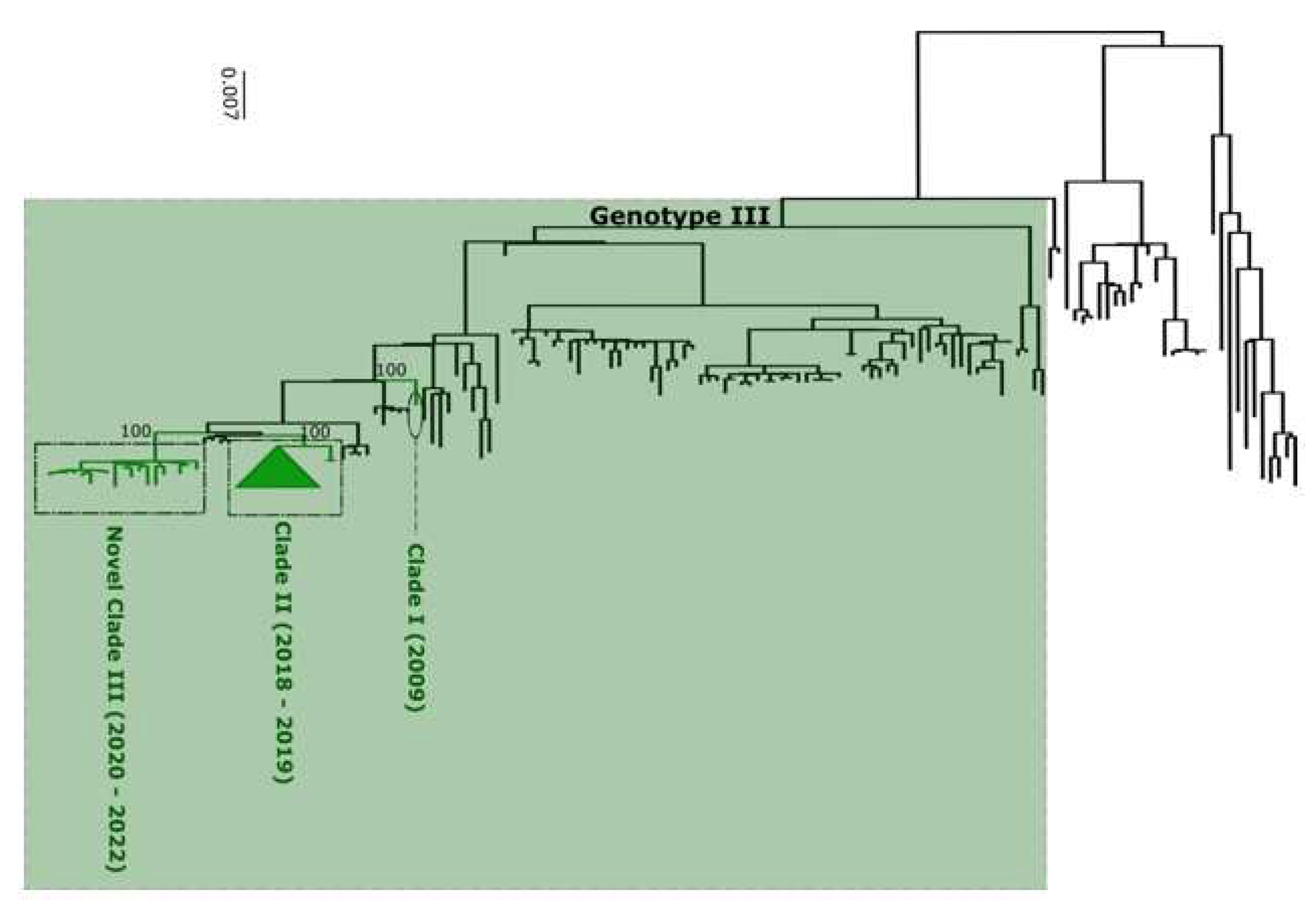 Preprints 86871 g007